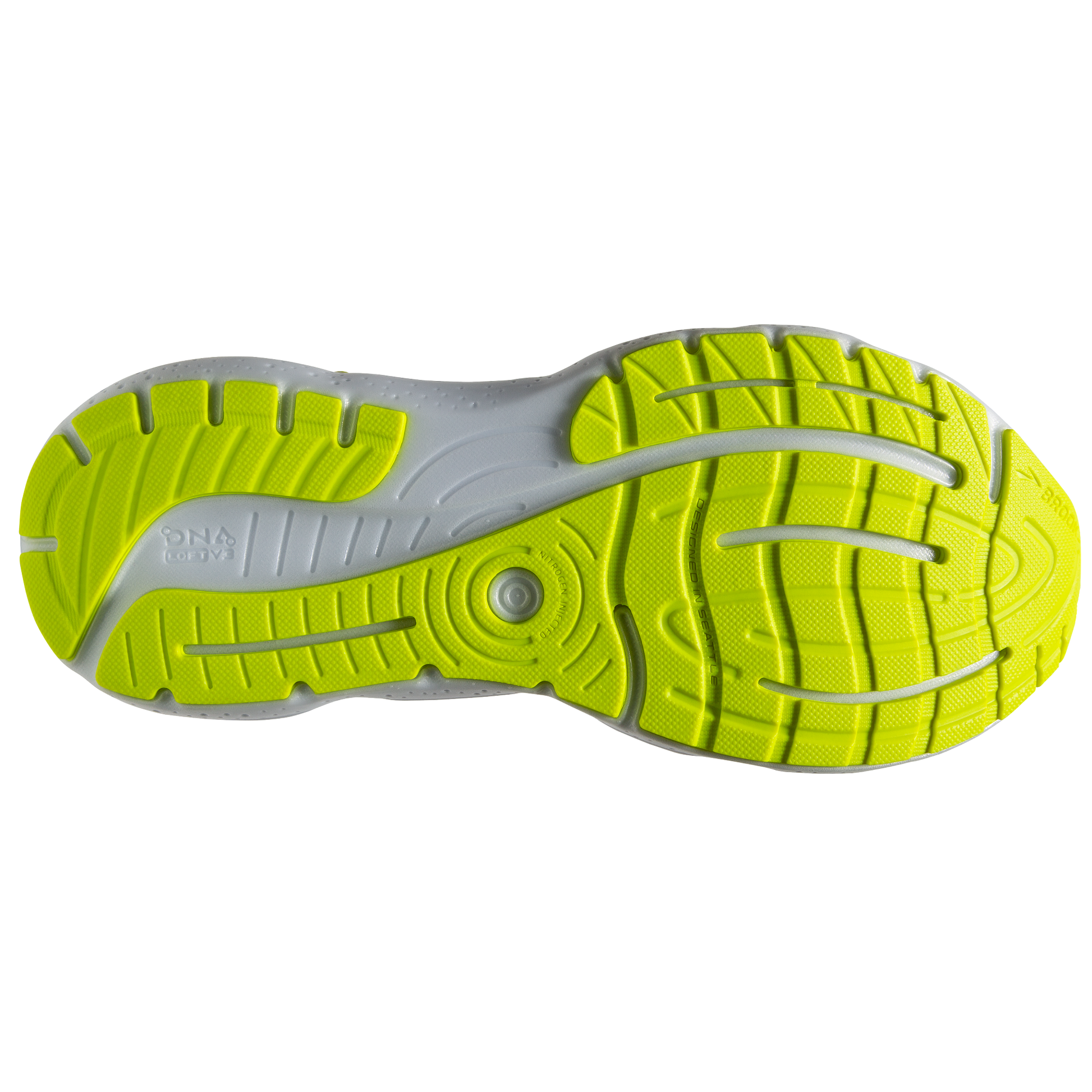 sole