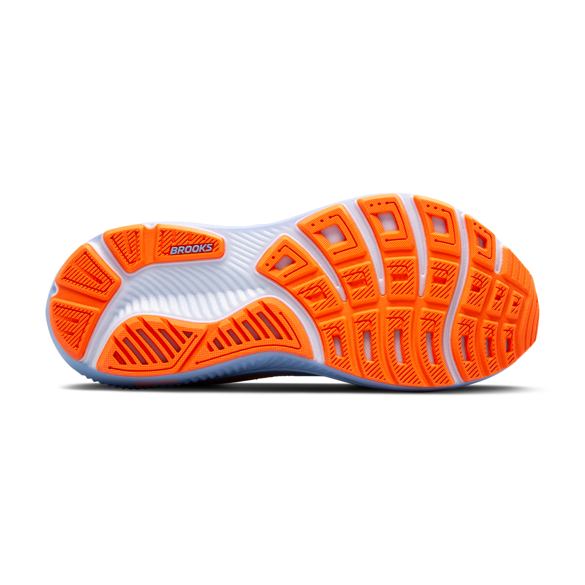 sole