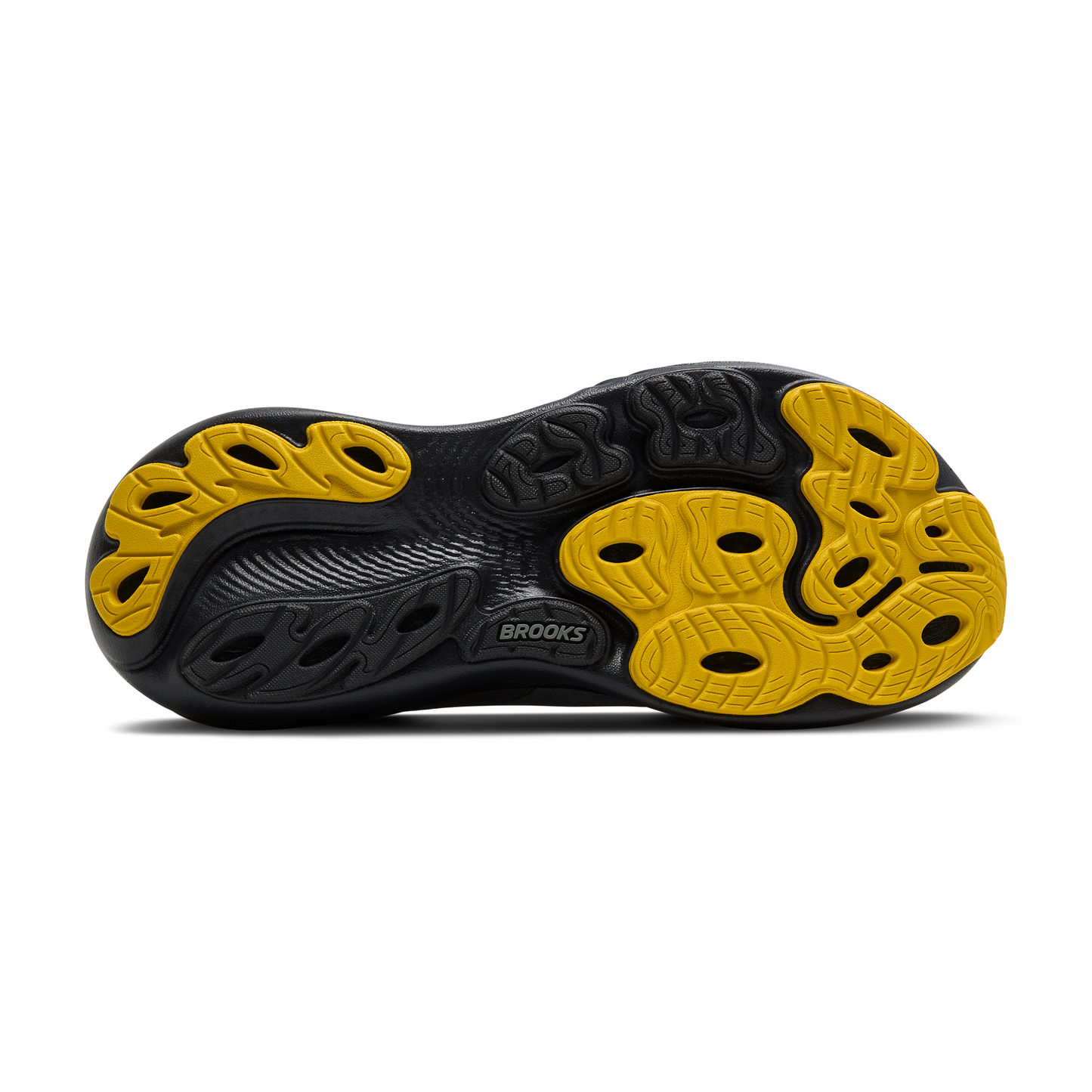 sole