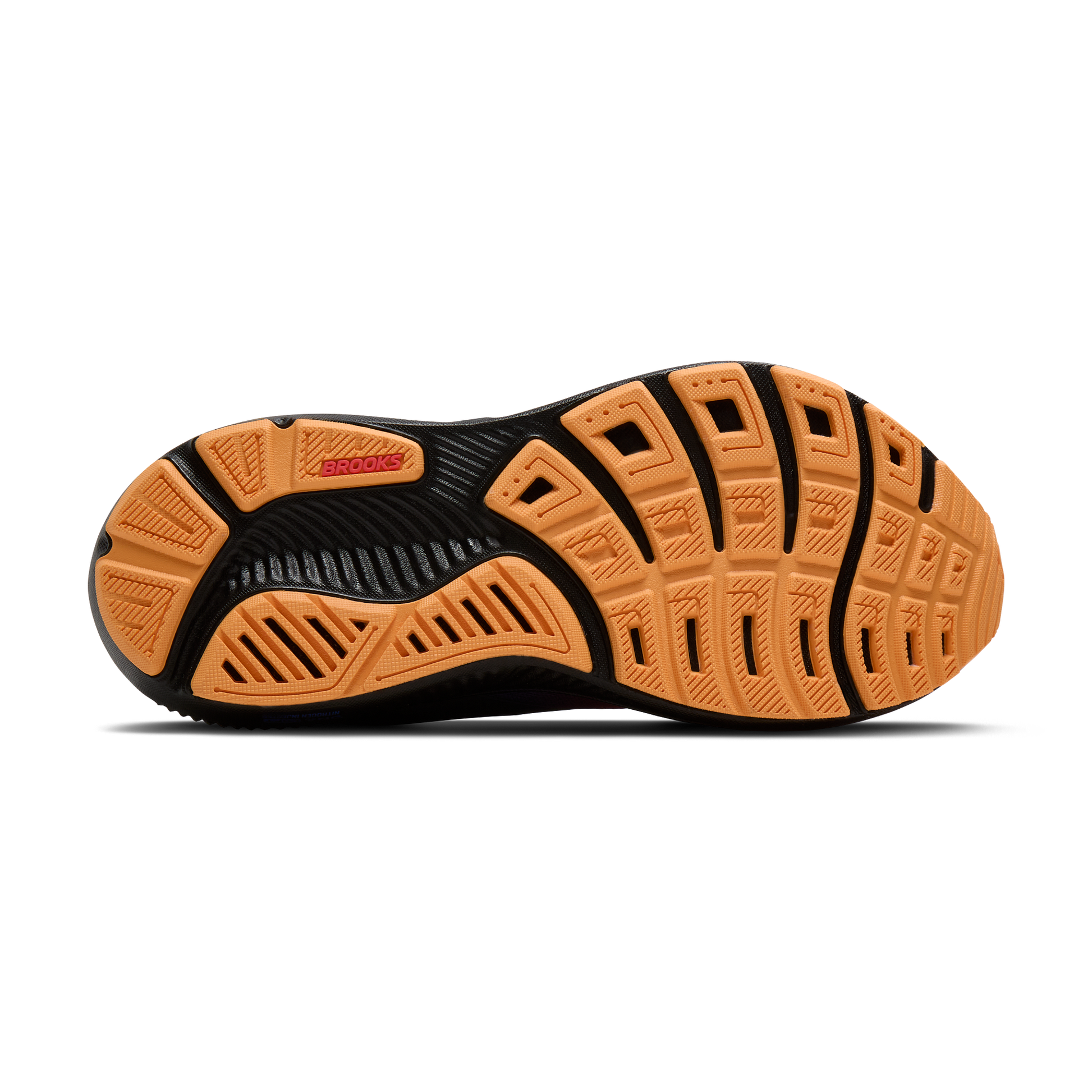 sole