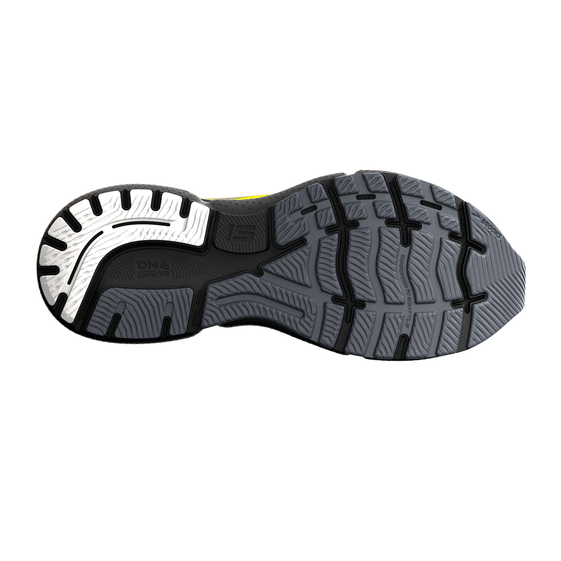 sole