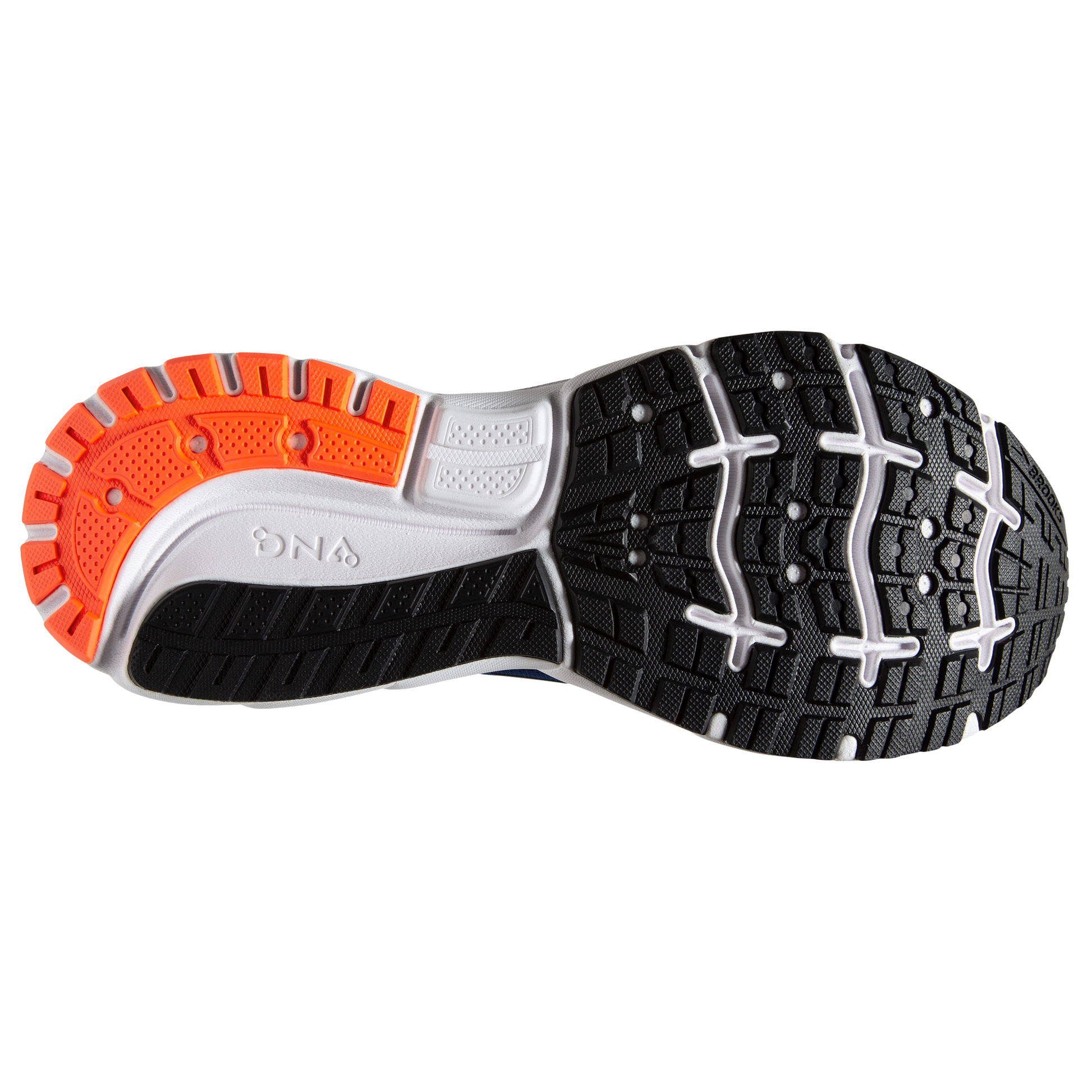 sole