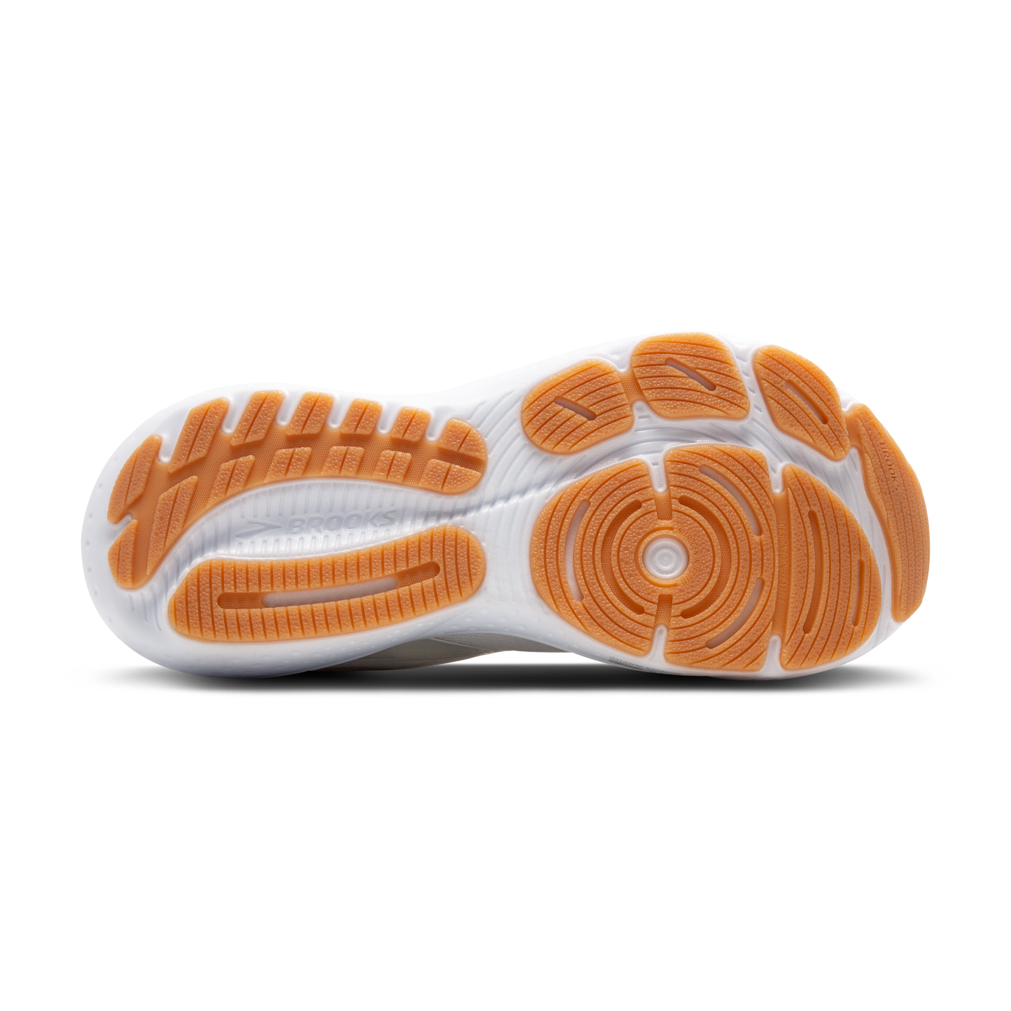 sole