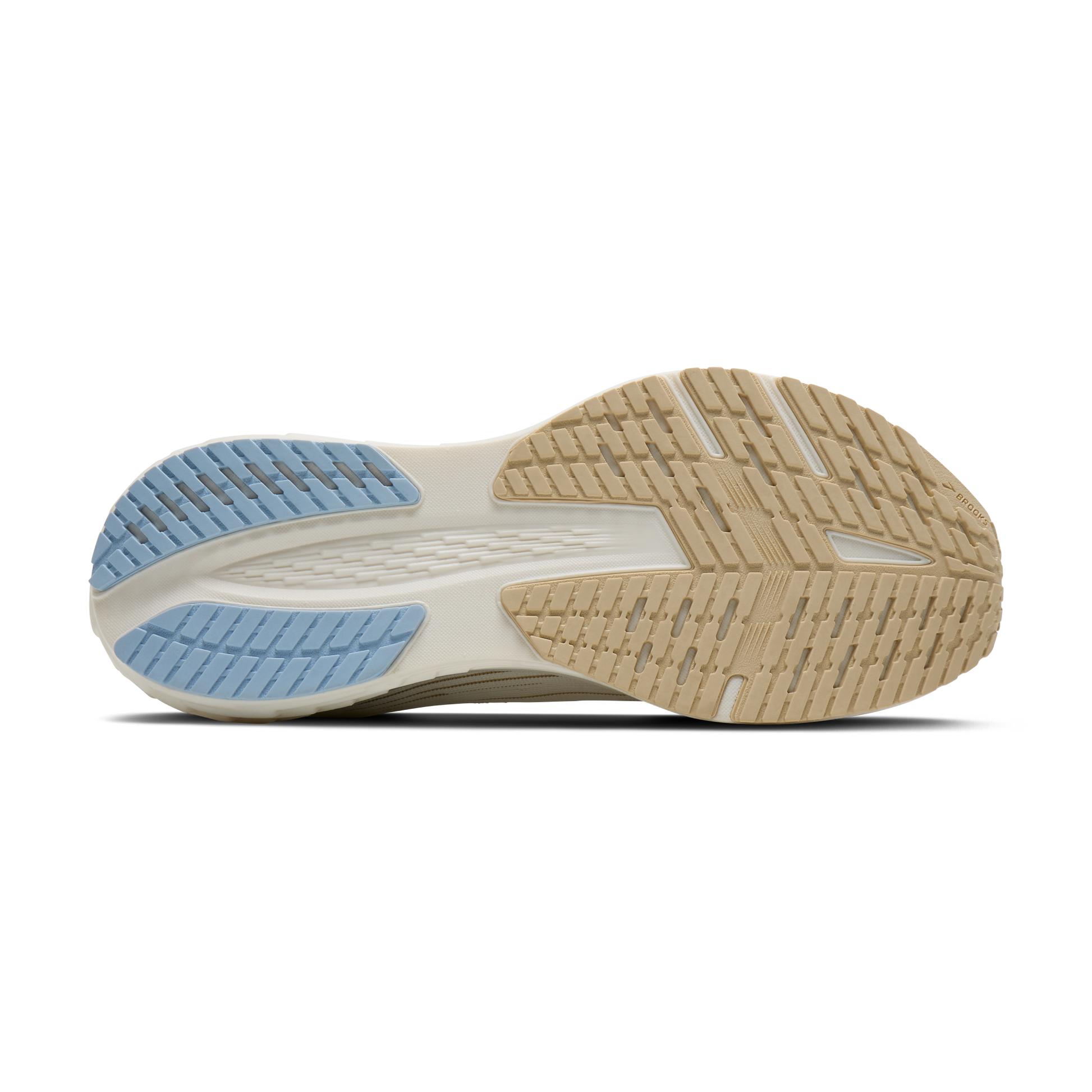 sole