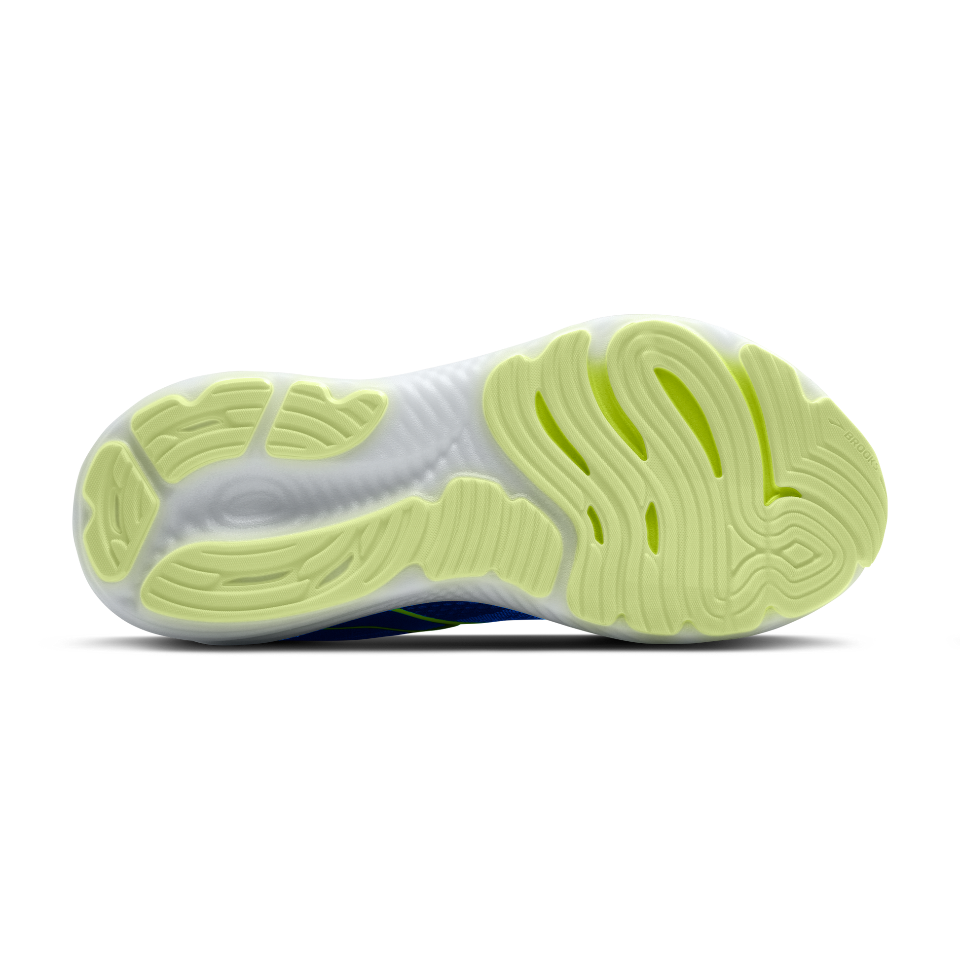 sole
