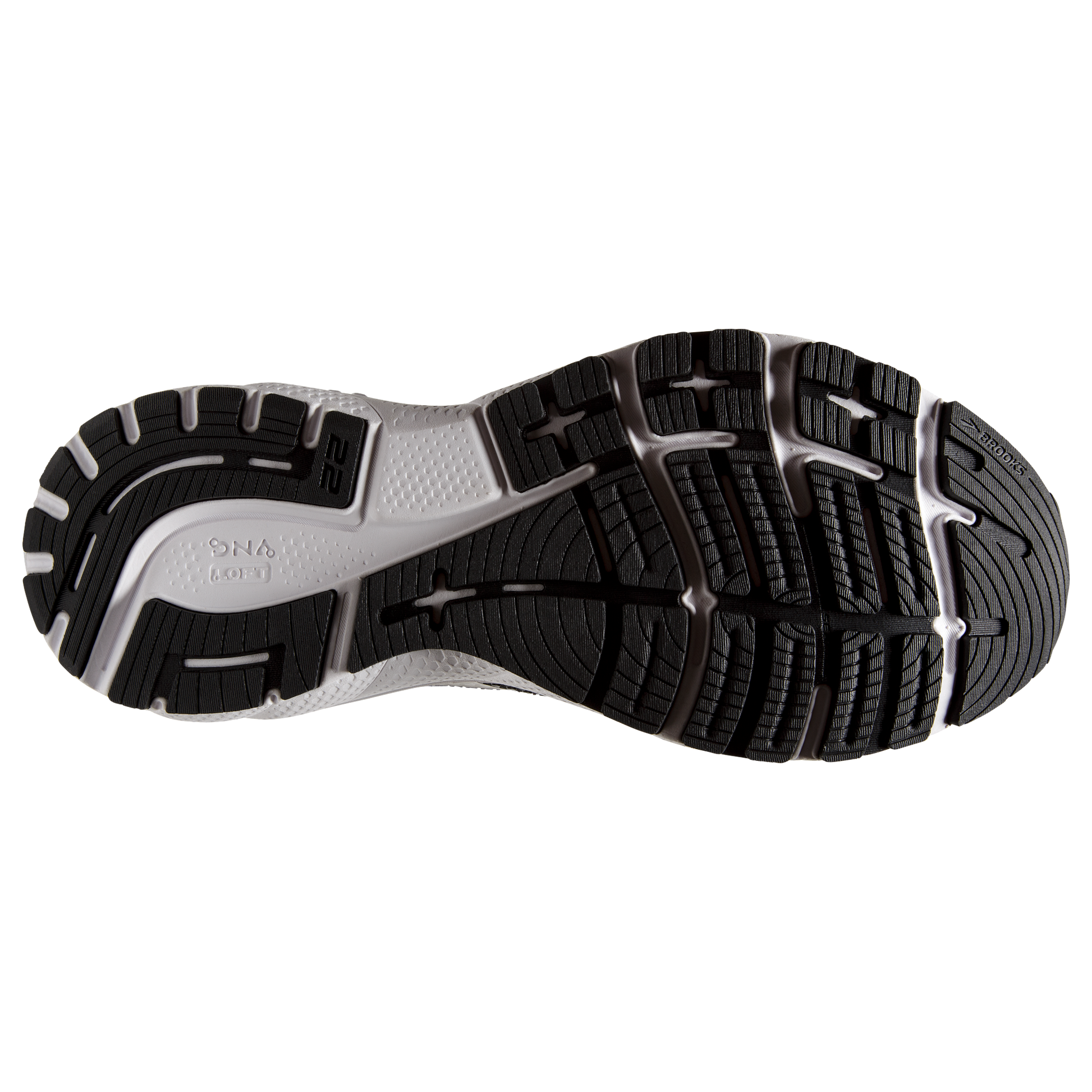 sole