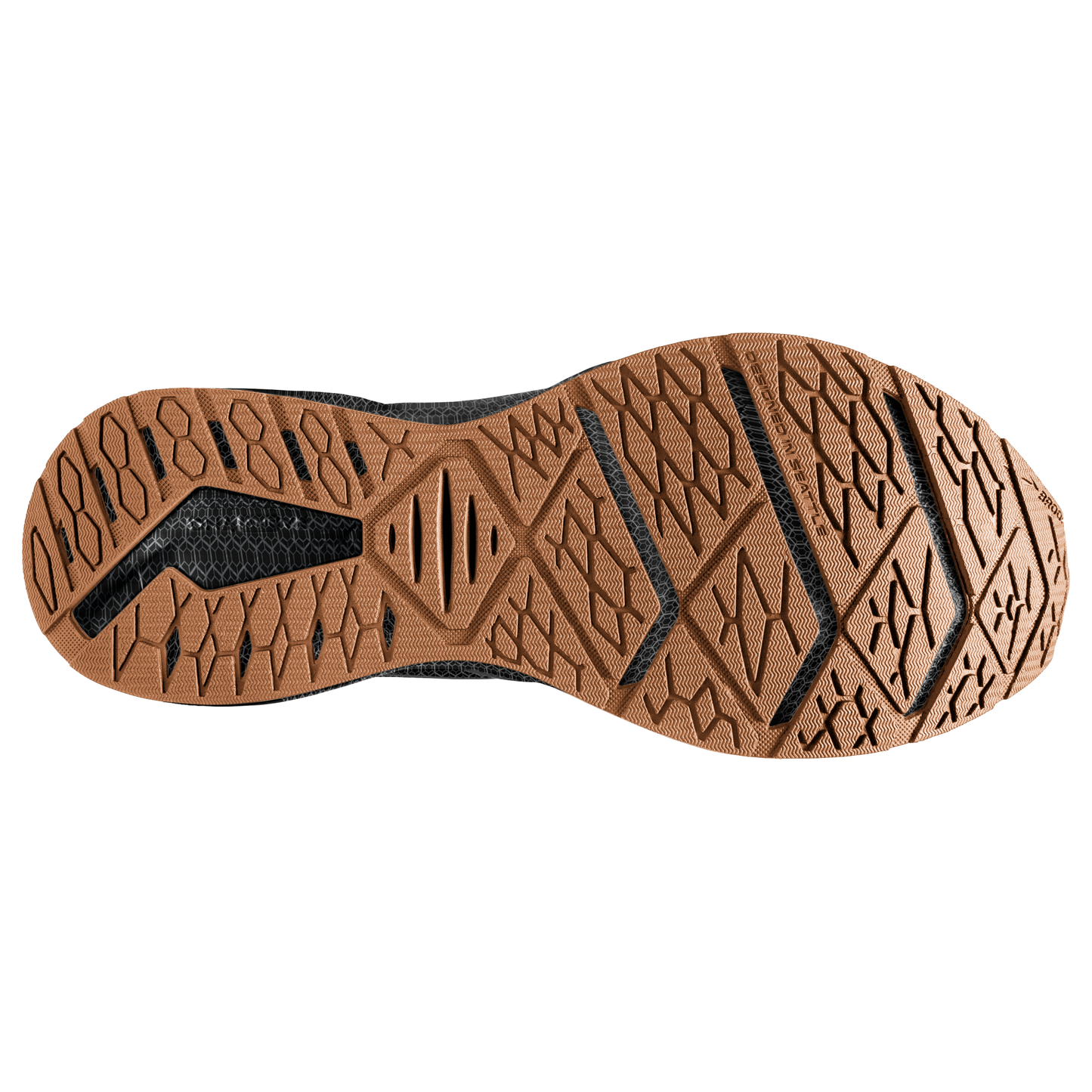 sole