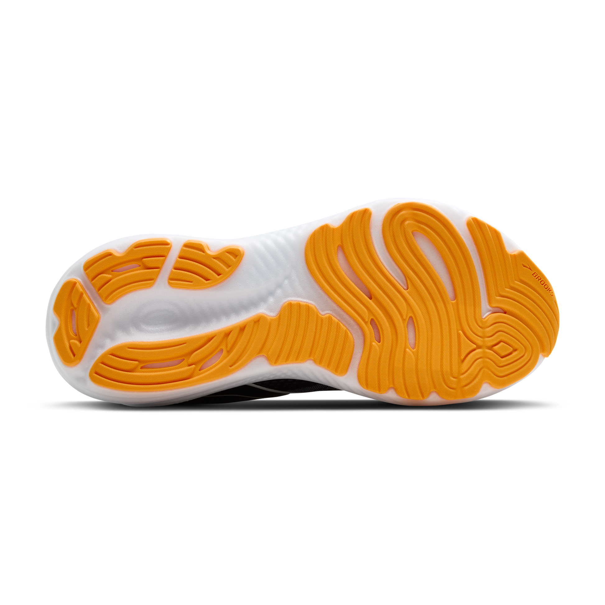 sole