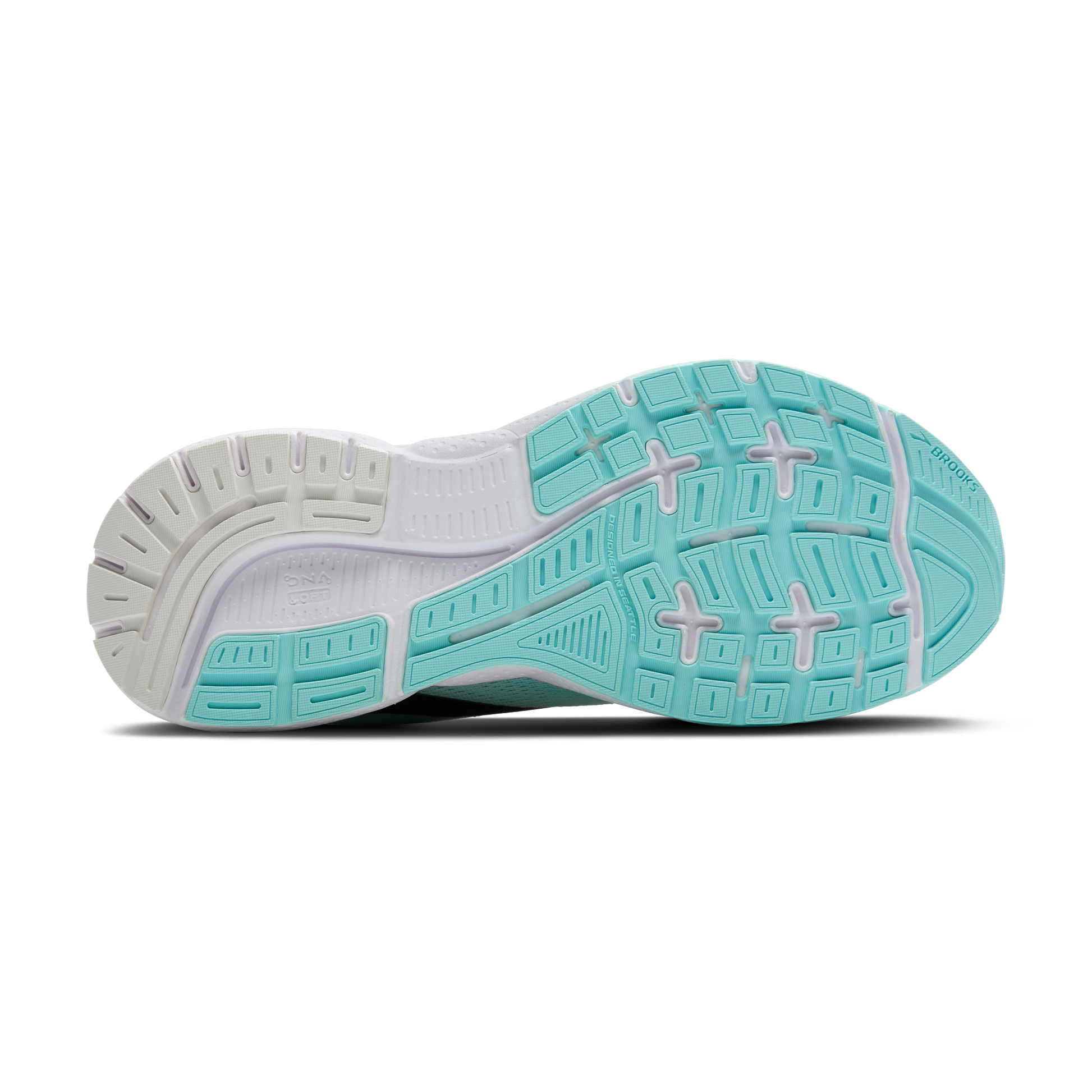 sole