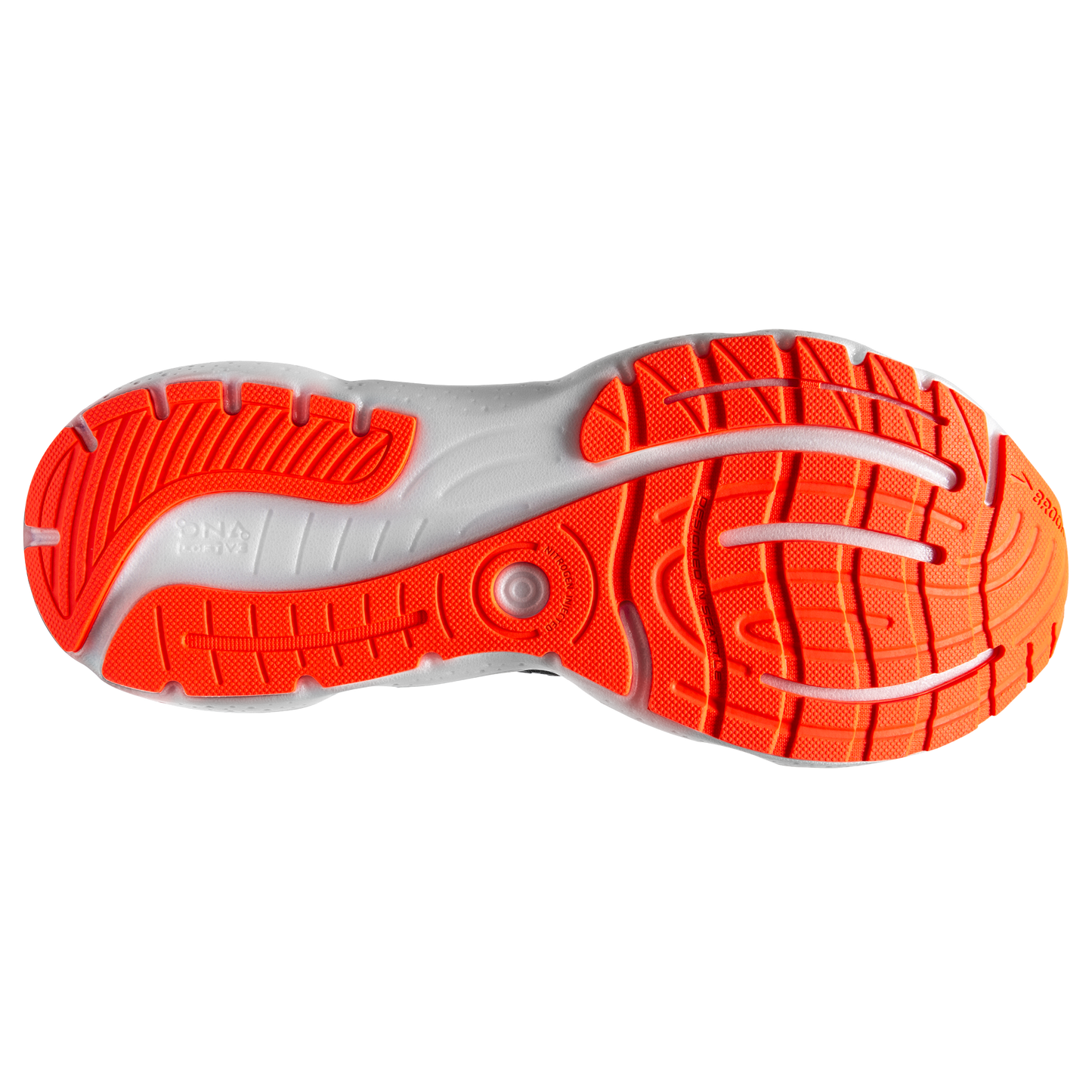 sole