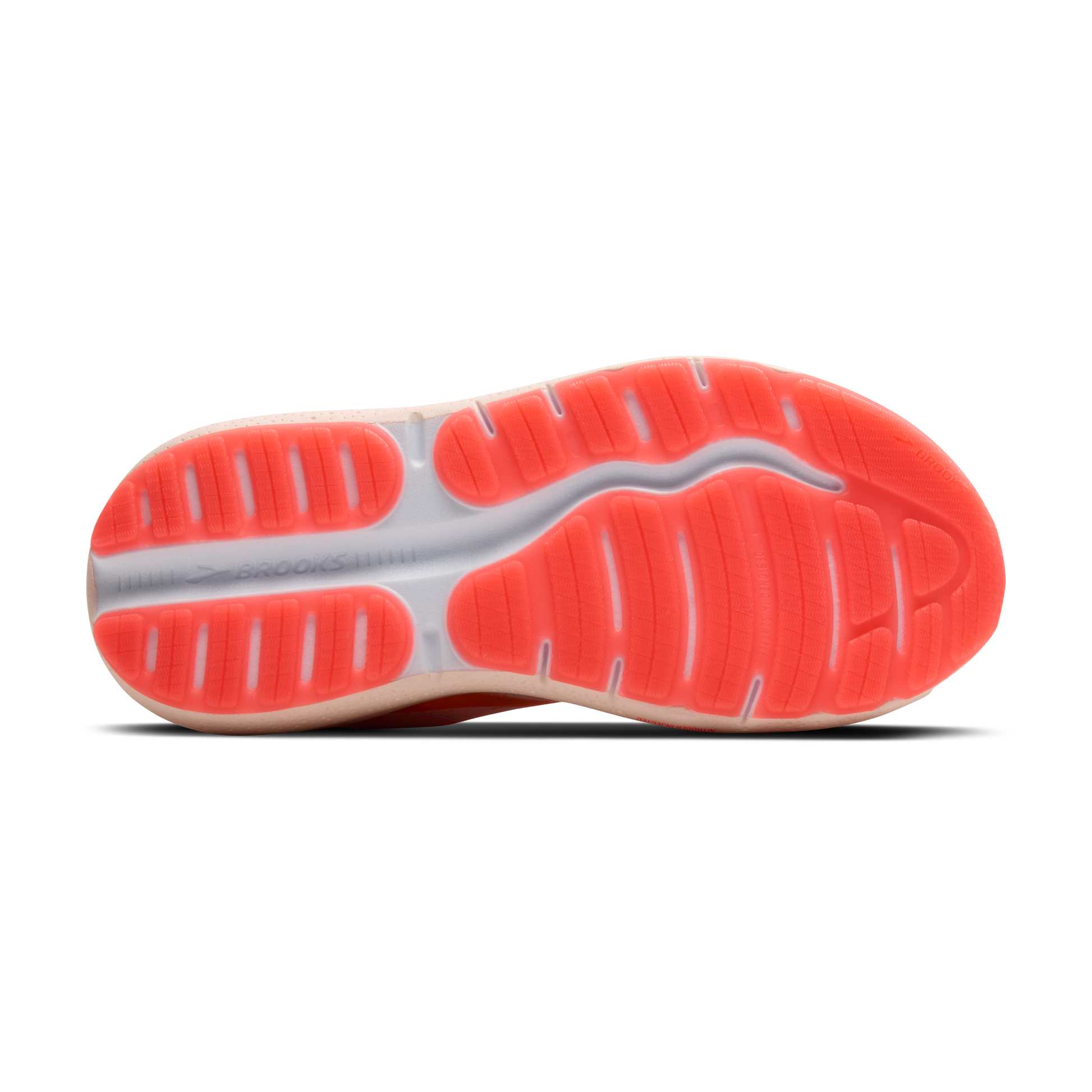 sole