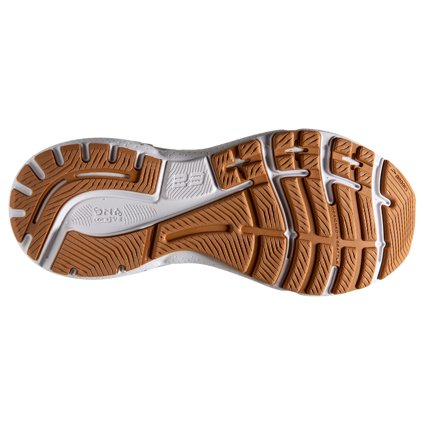sole