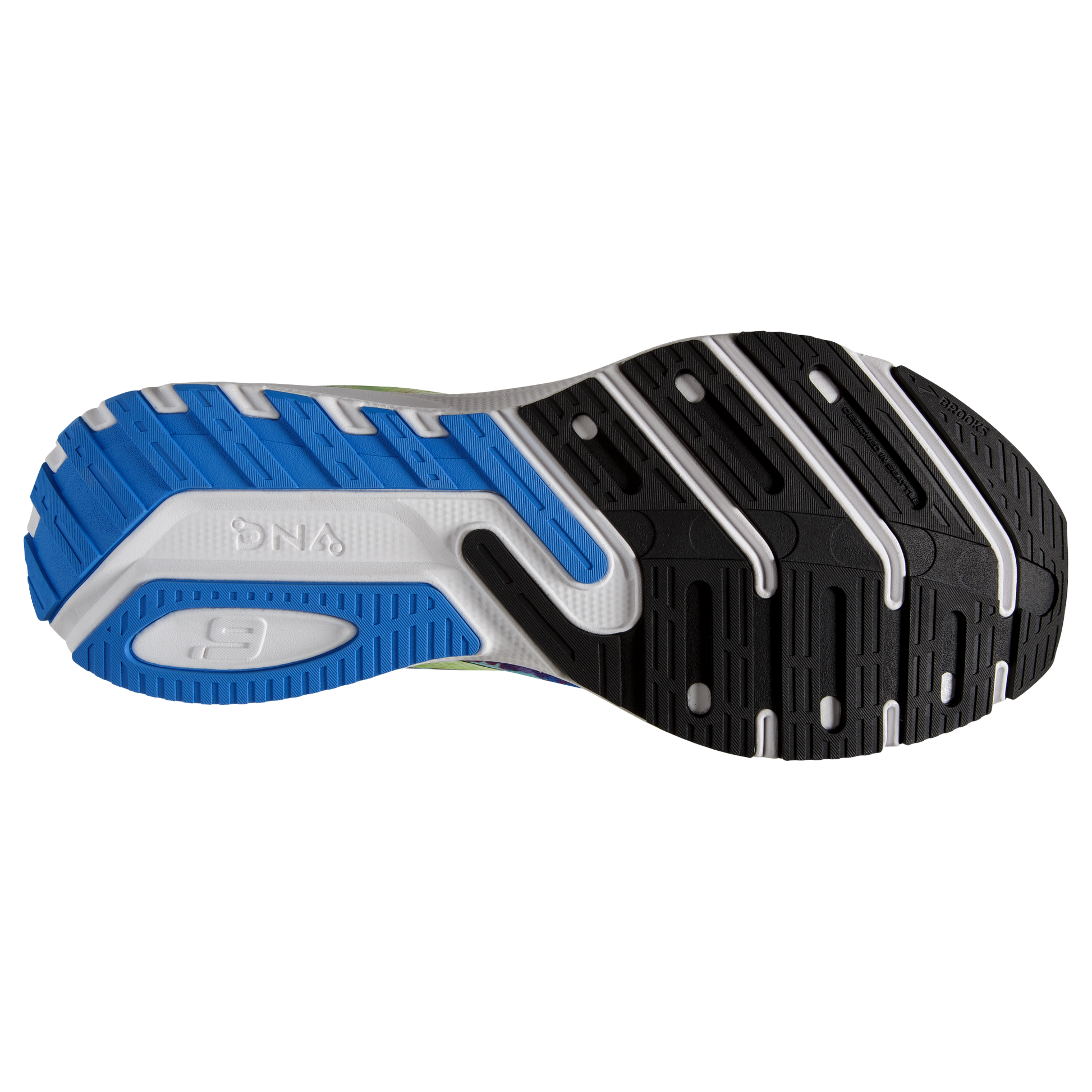 sole