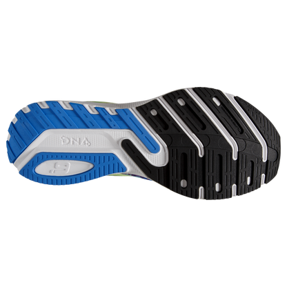 sole
