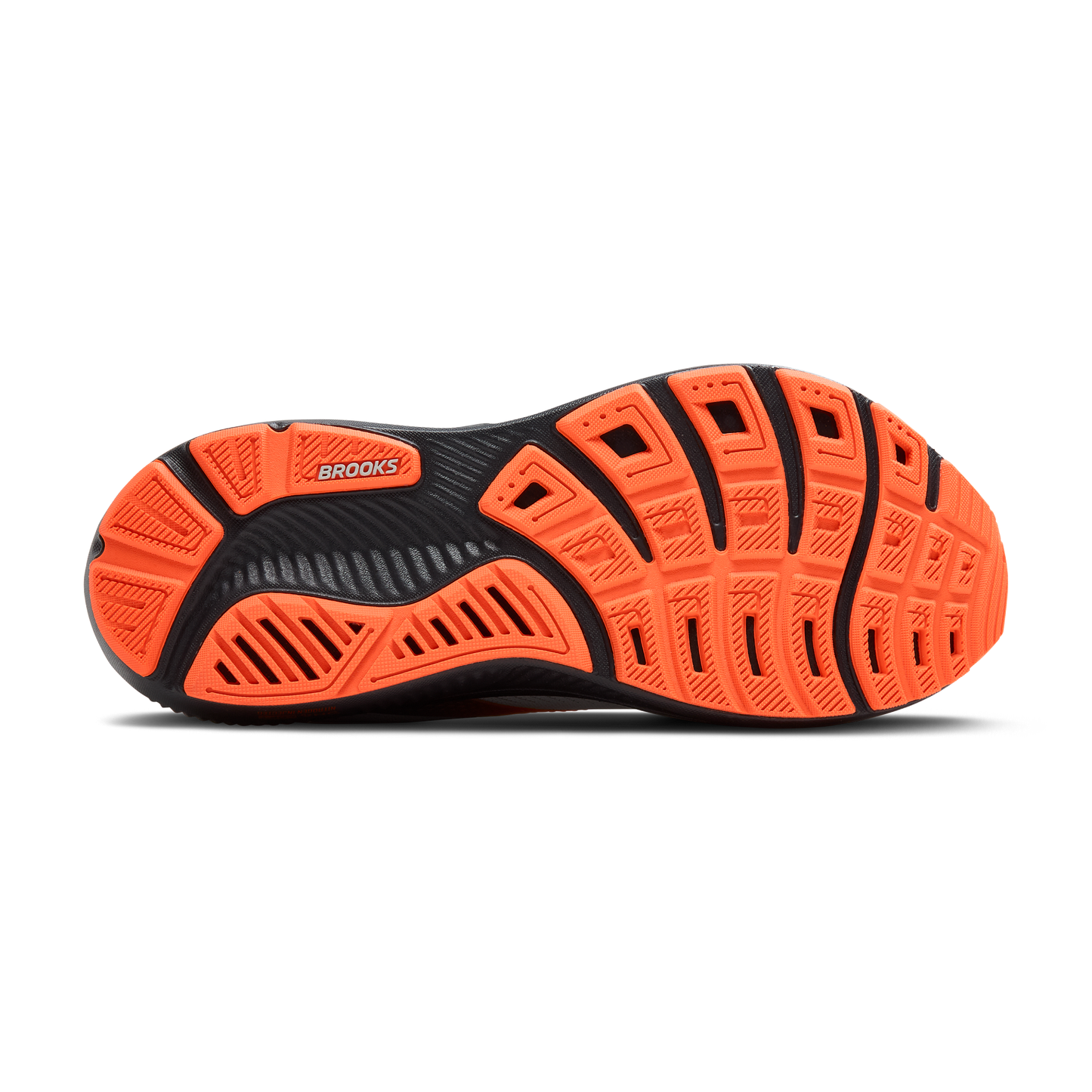 sole