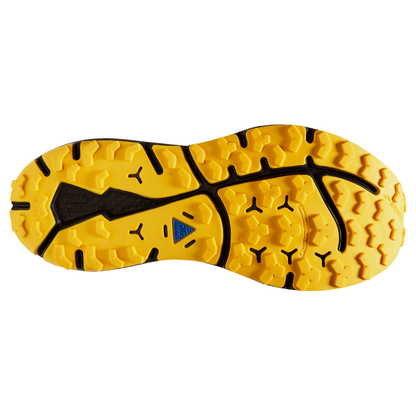 sole
