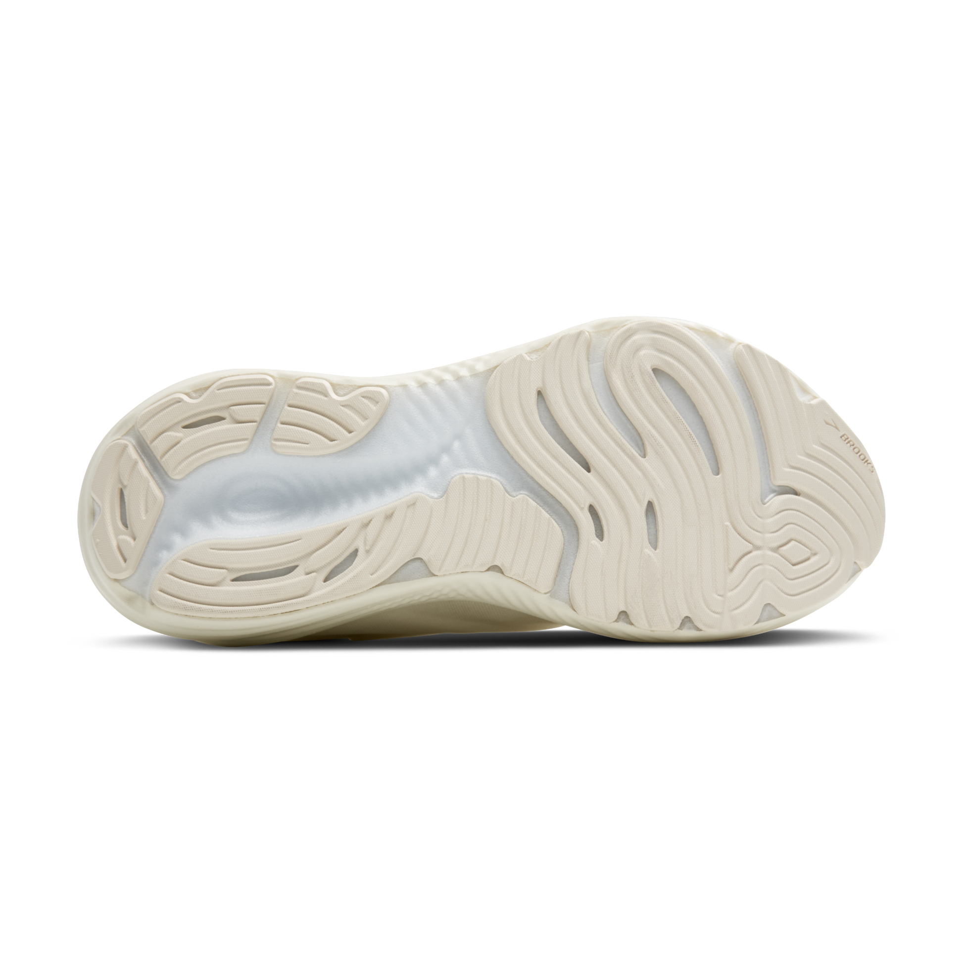 sole