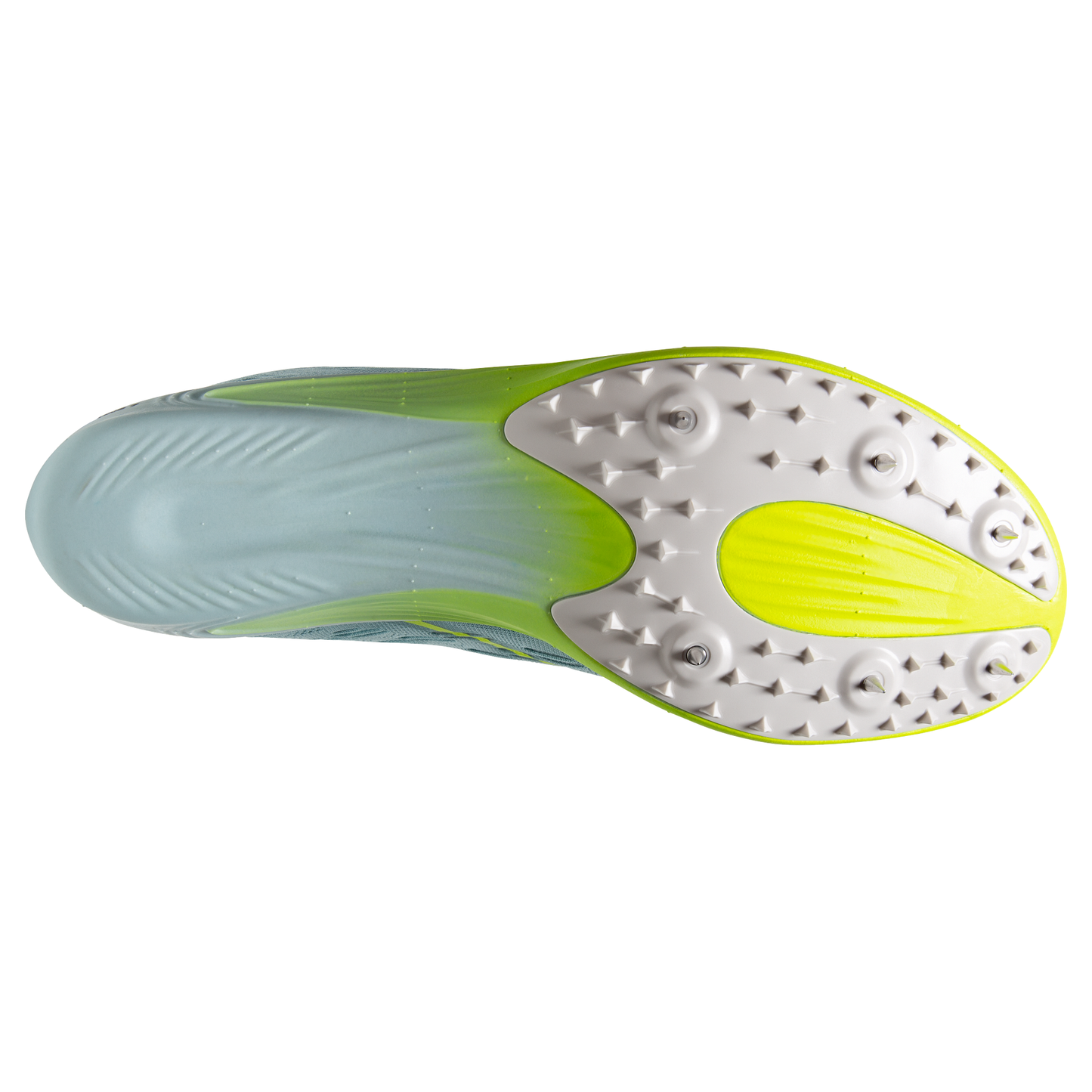 sole