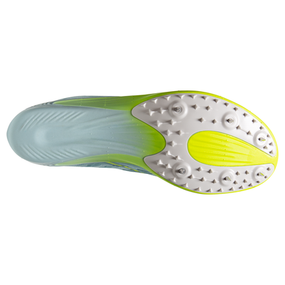 sole