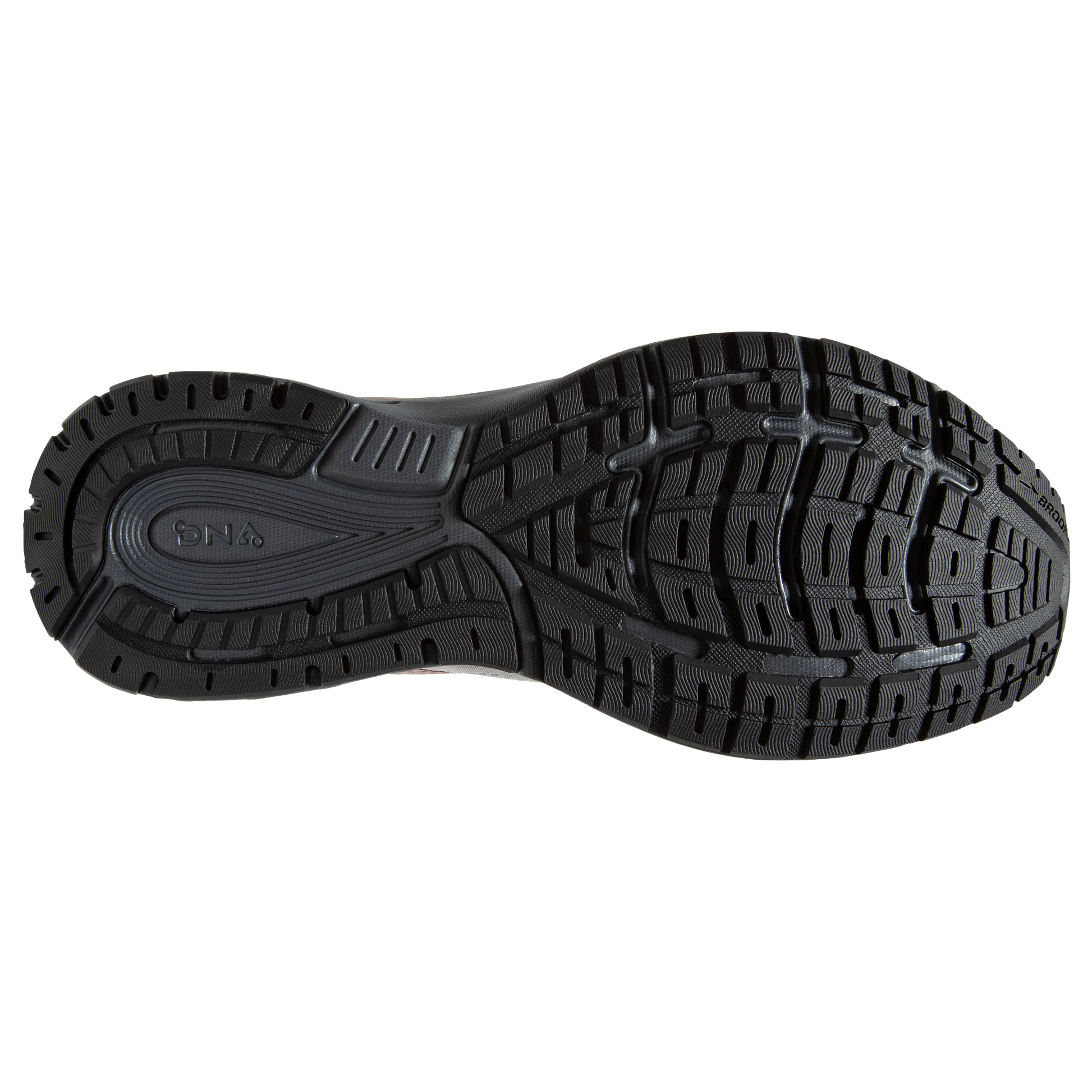sole