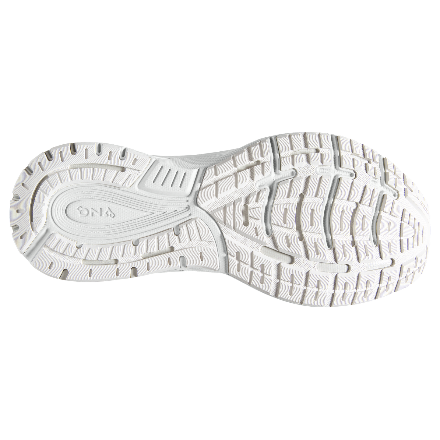 sole