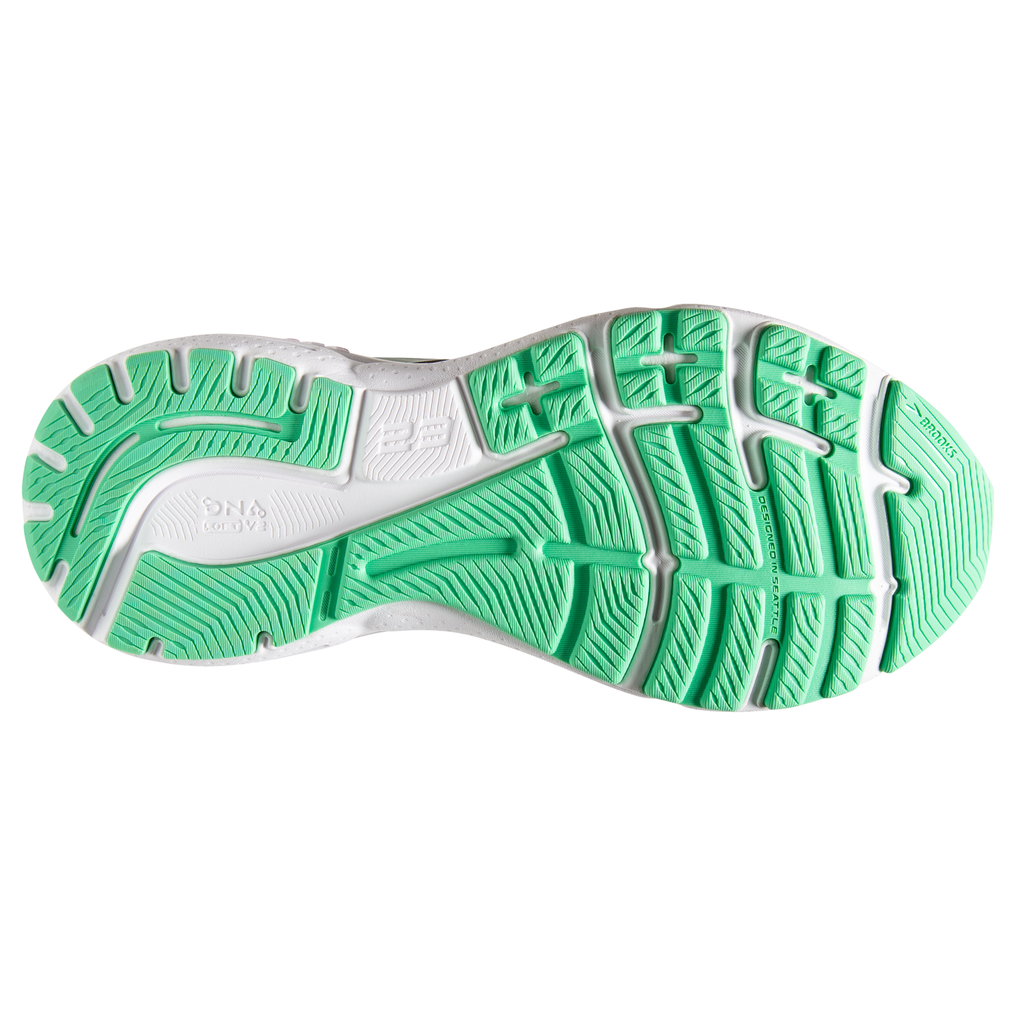 sole