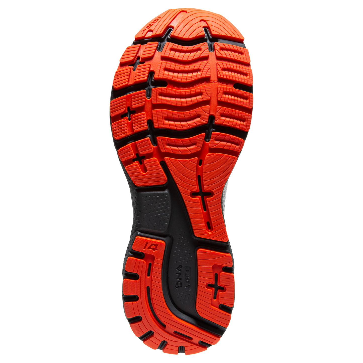 sole