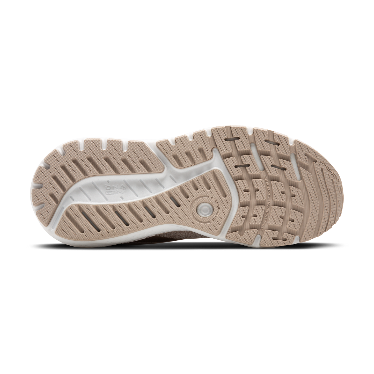 sole
