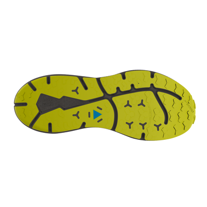 sole