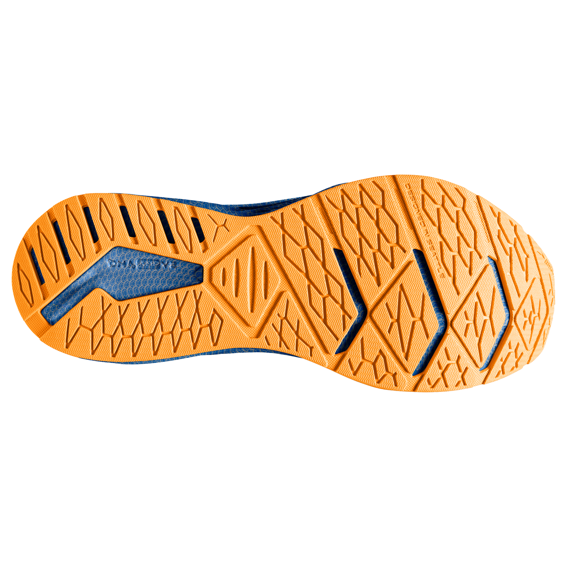 sole