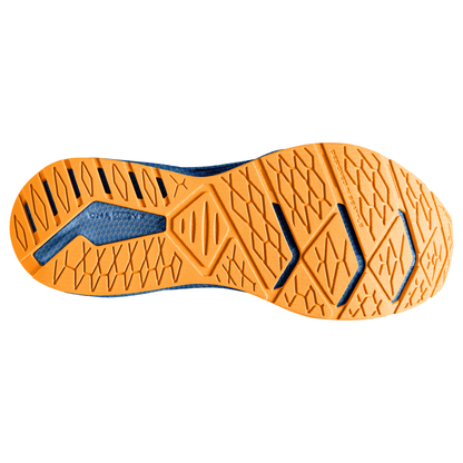 sole