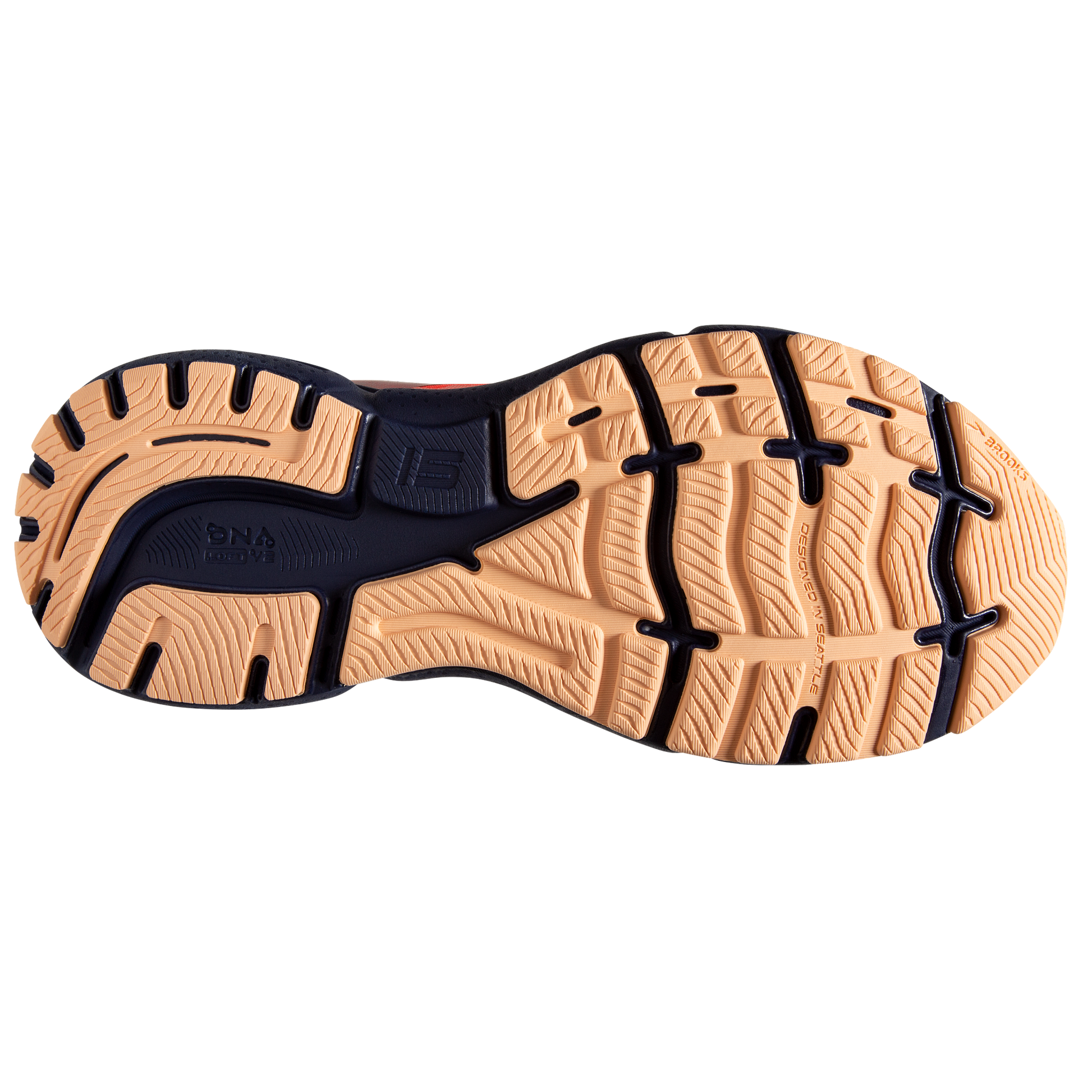 sole