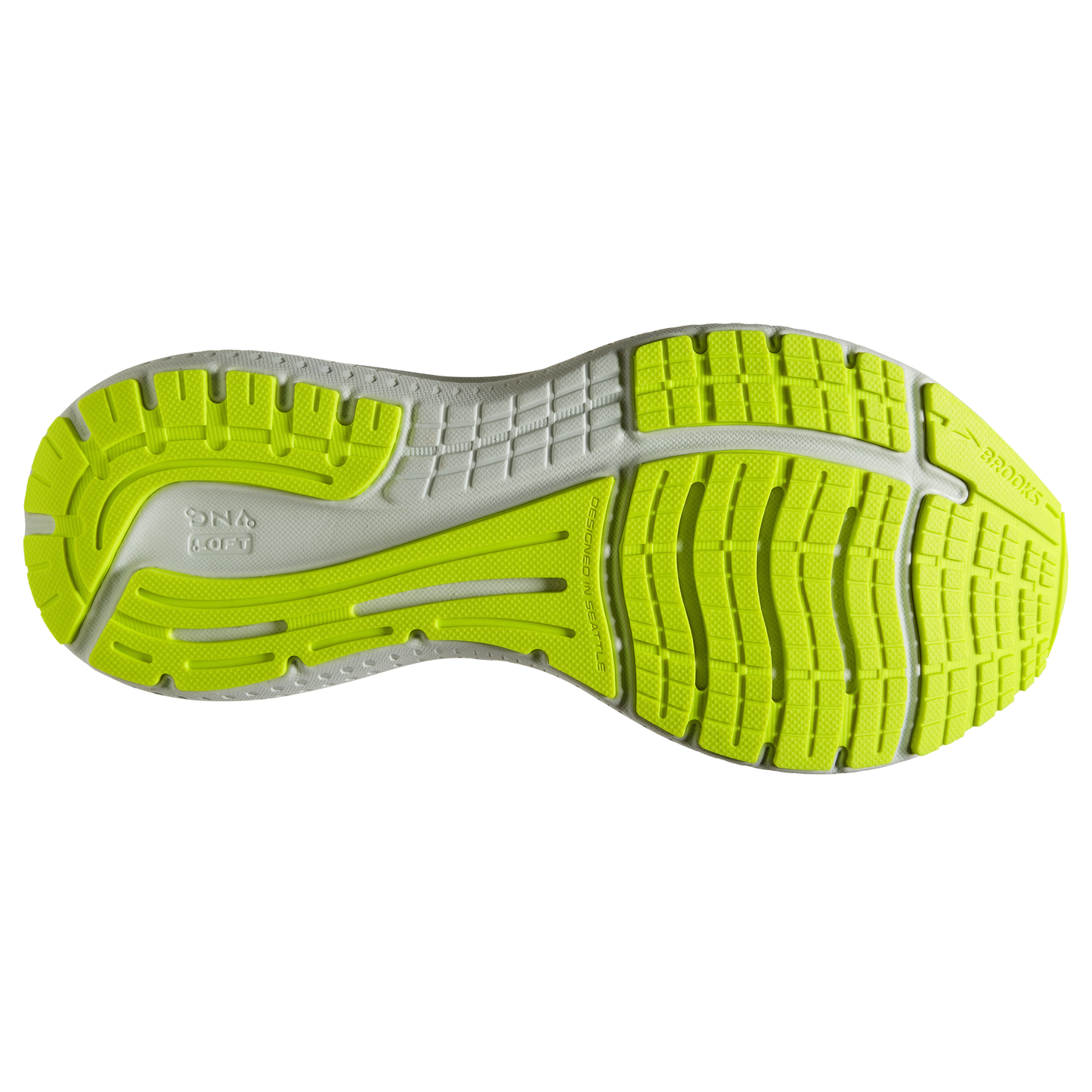 sole