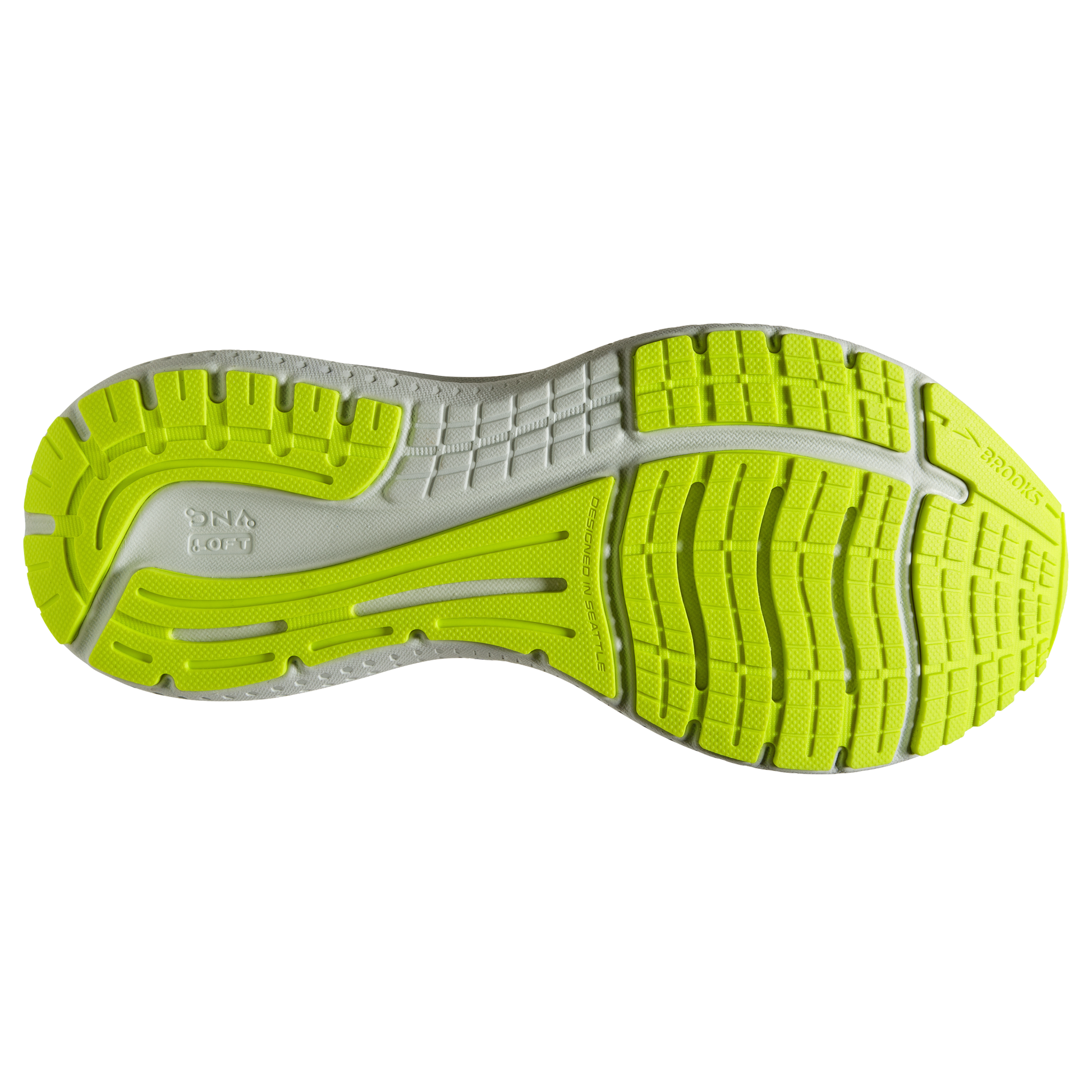 sole