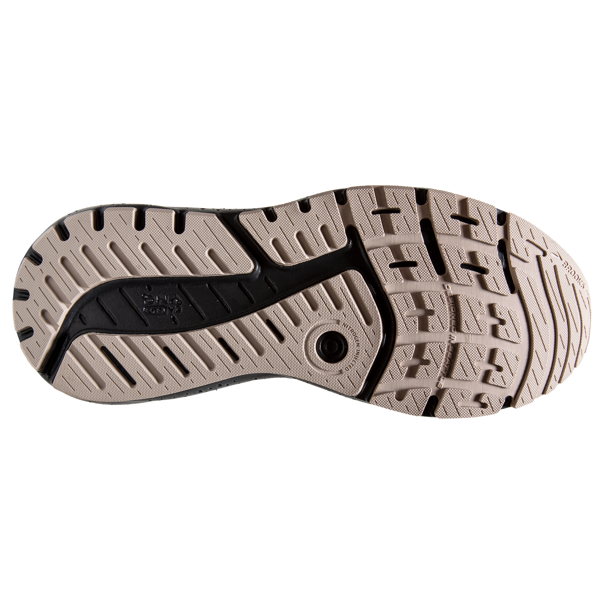 sole