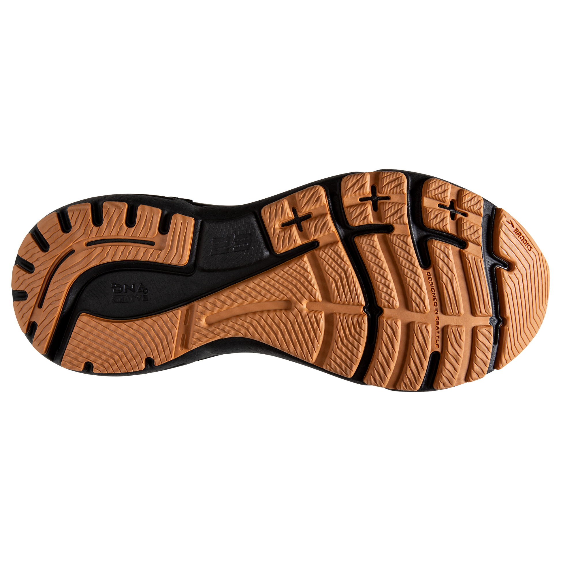 sole