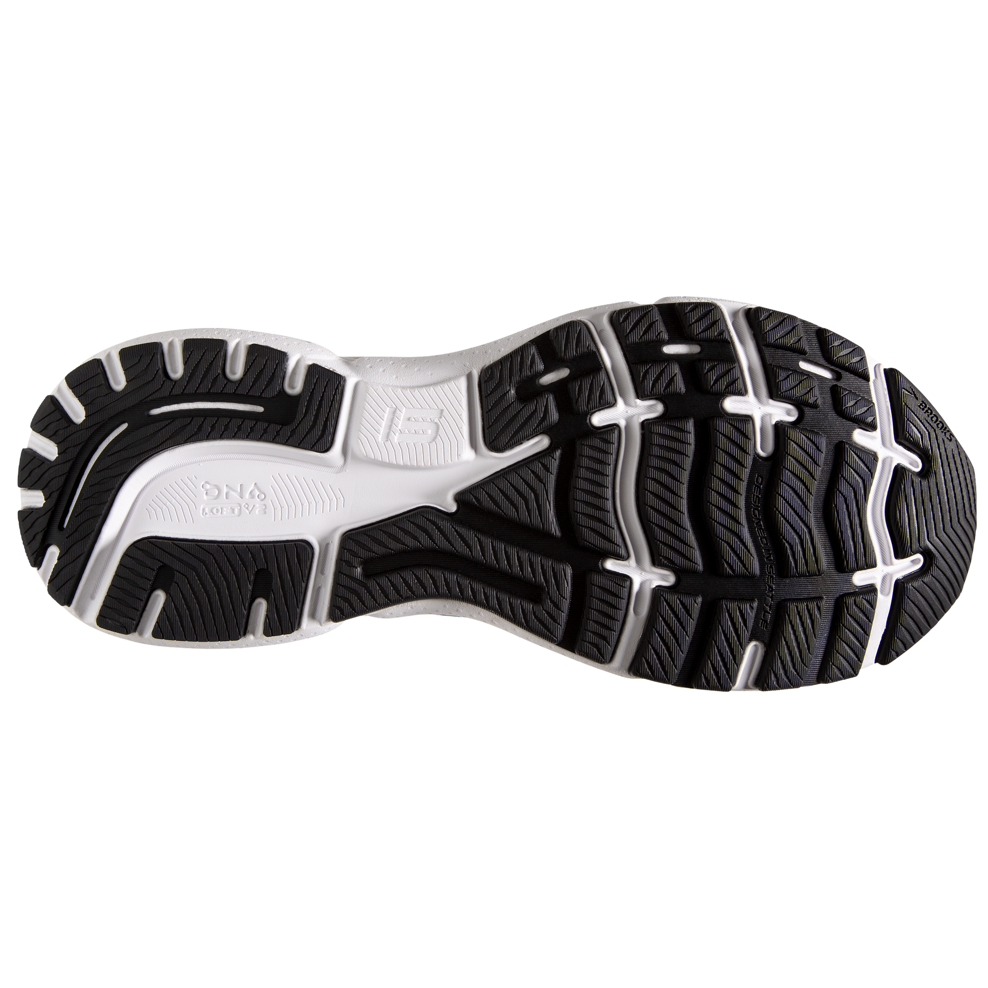 sole