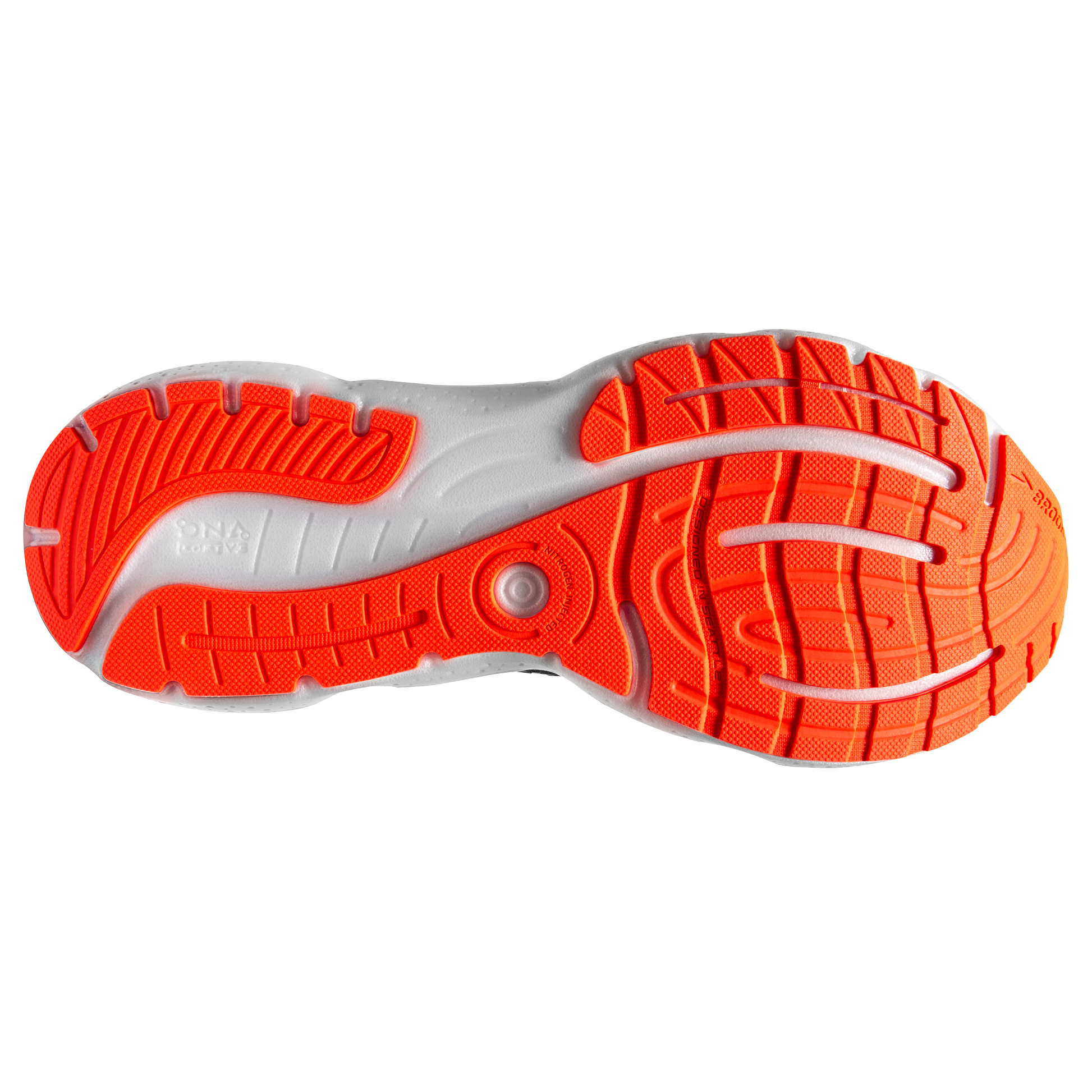 sole