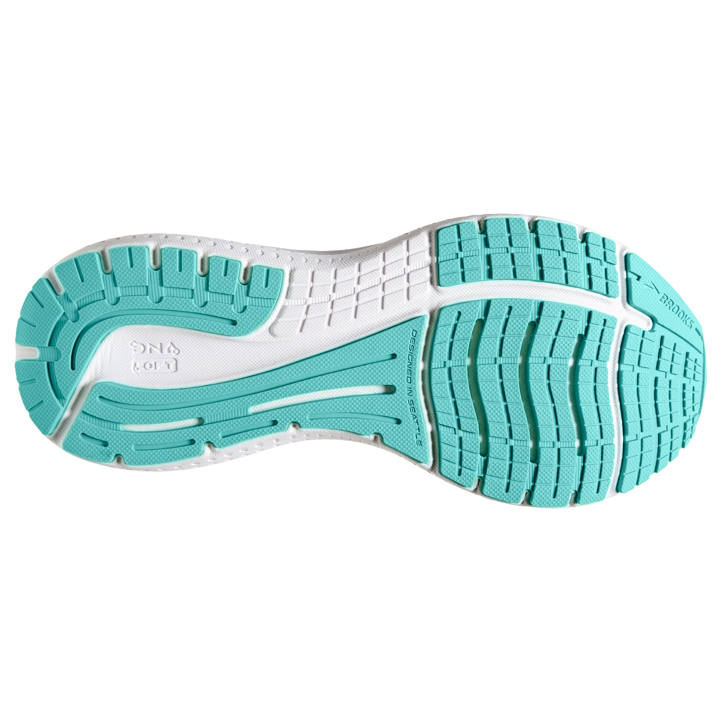 sole