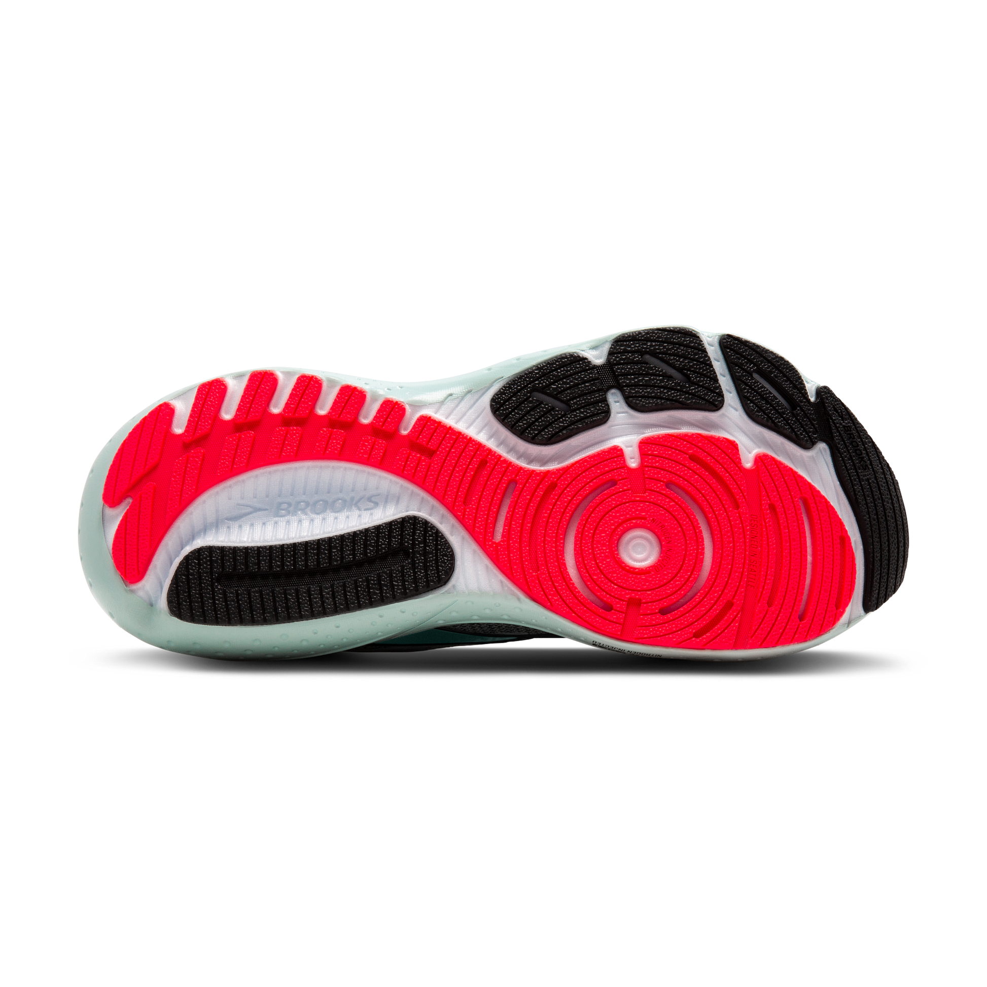 sole