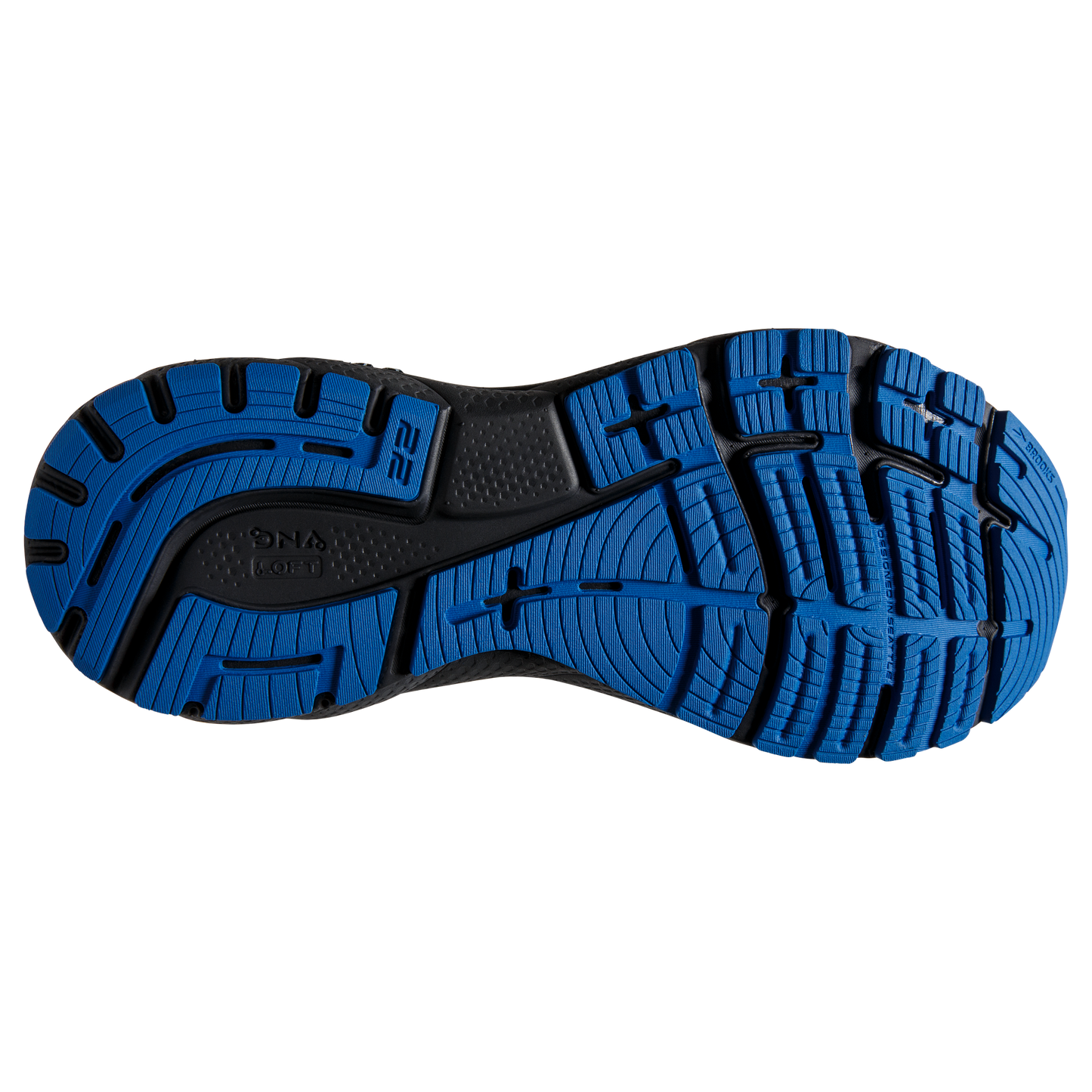 sole