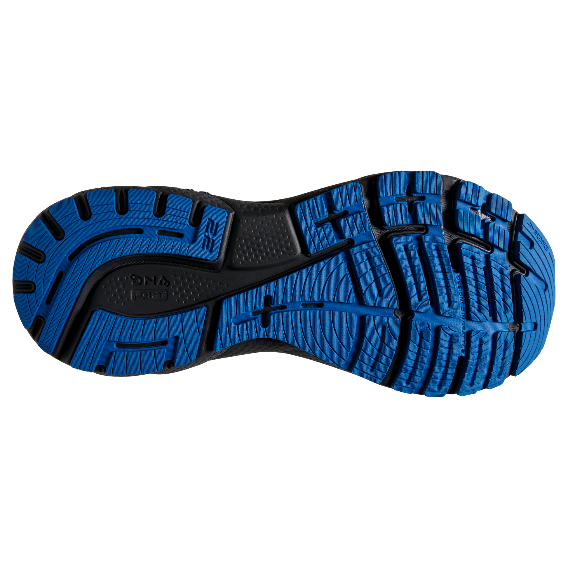 sole