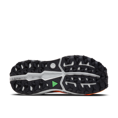 sole