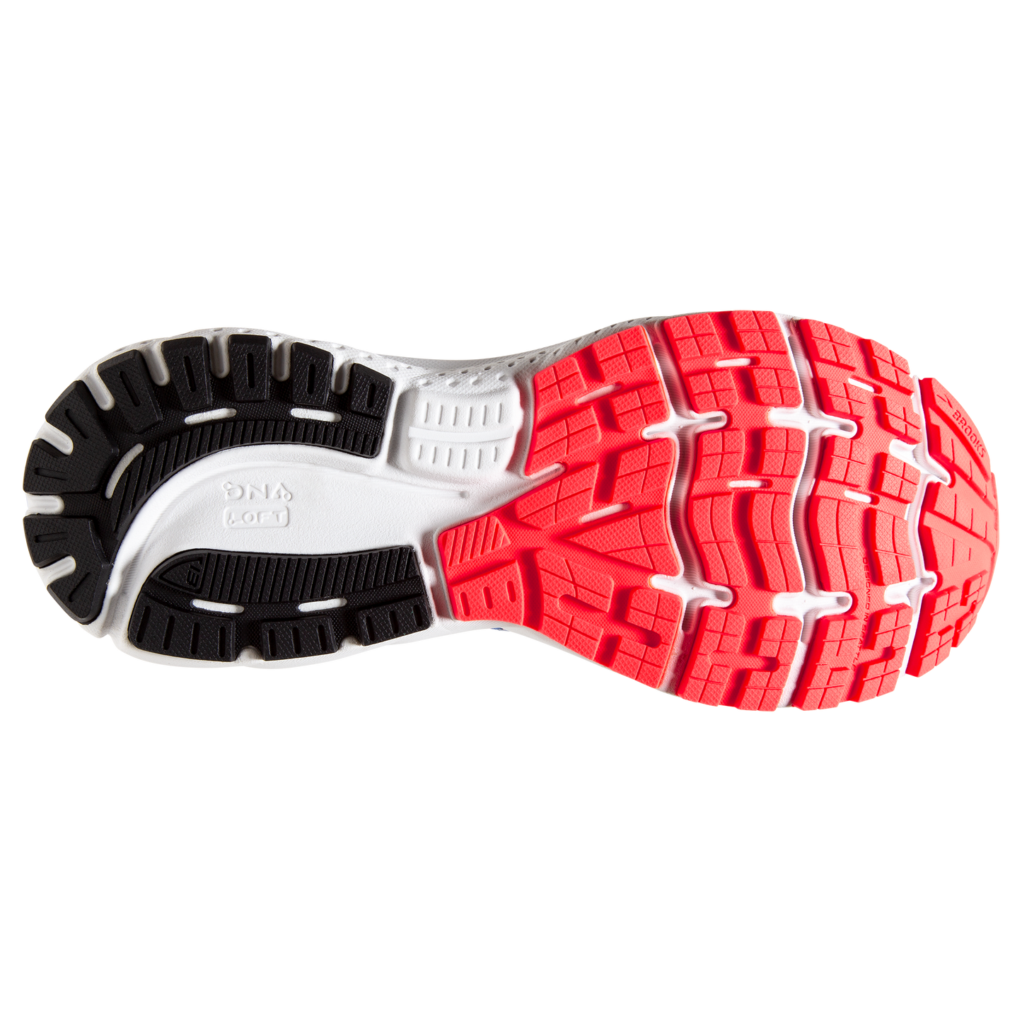sole