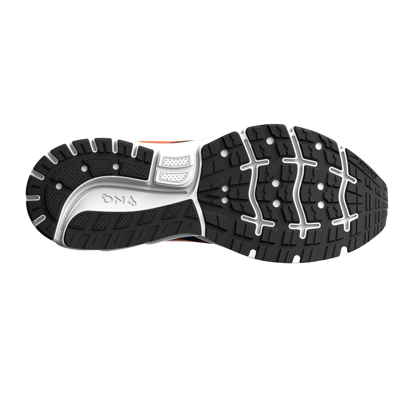 sole