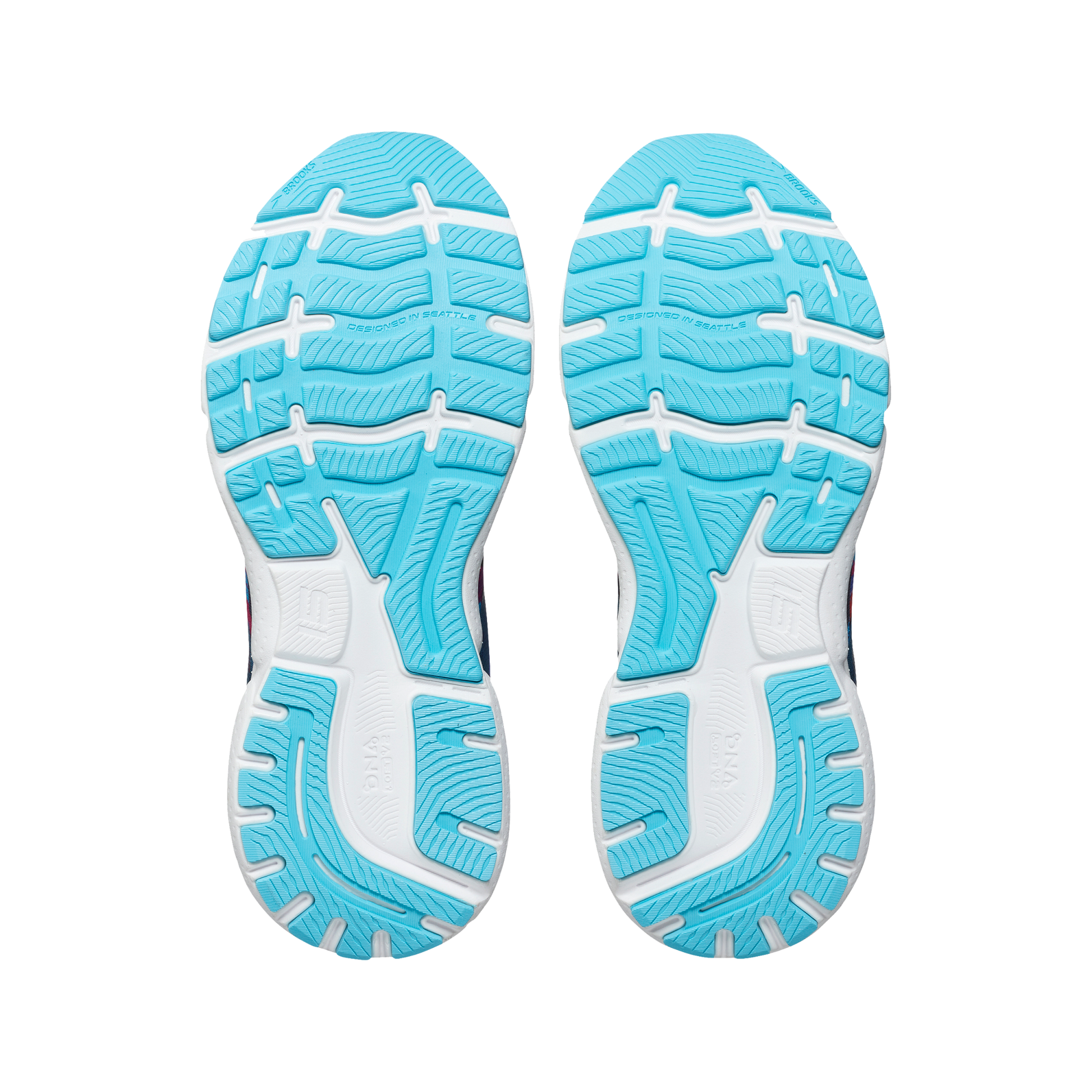 sole
