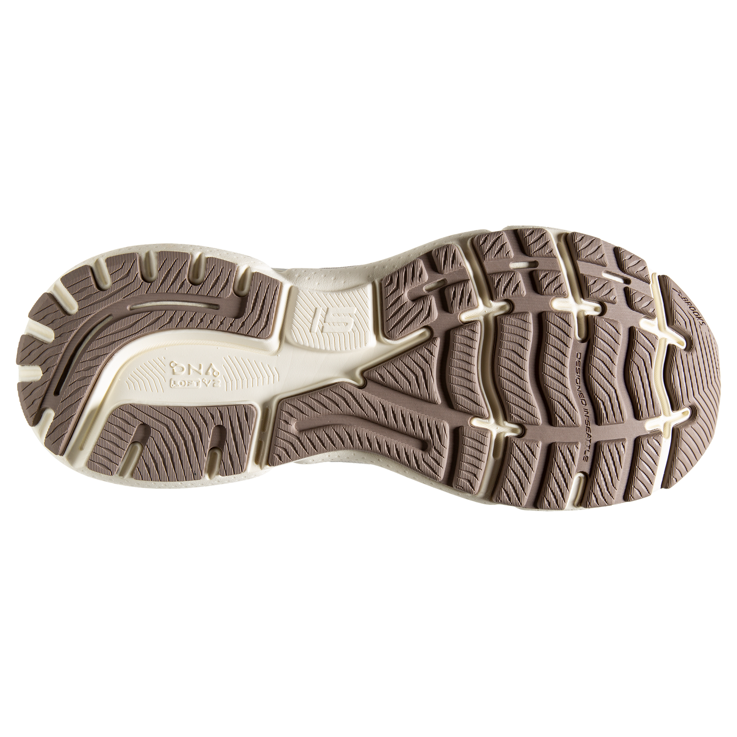 sole
