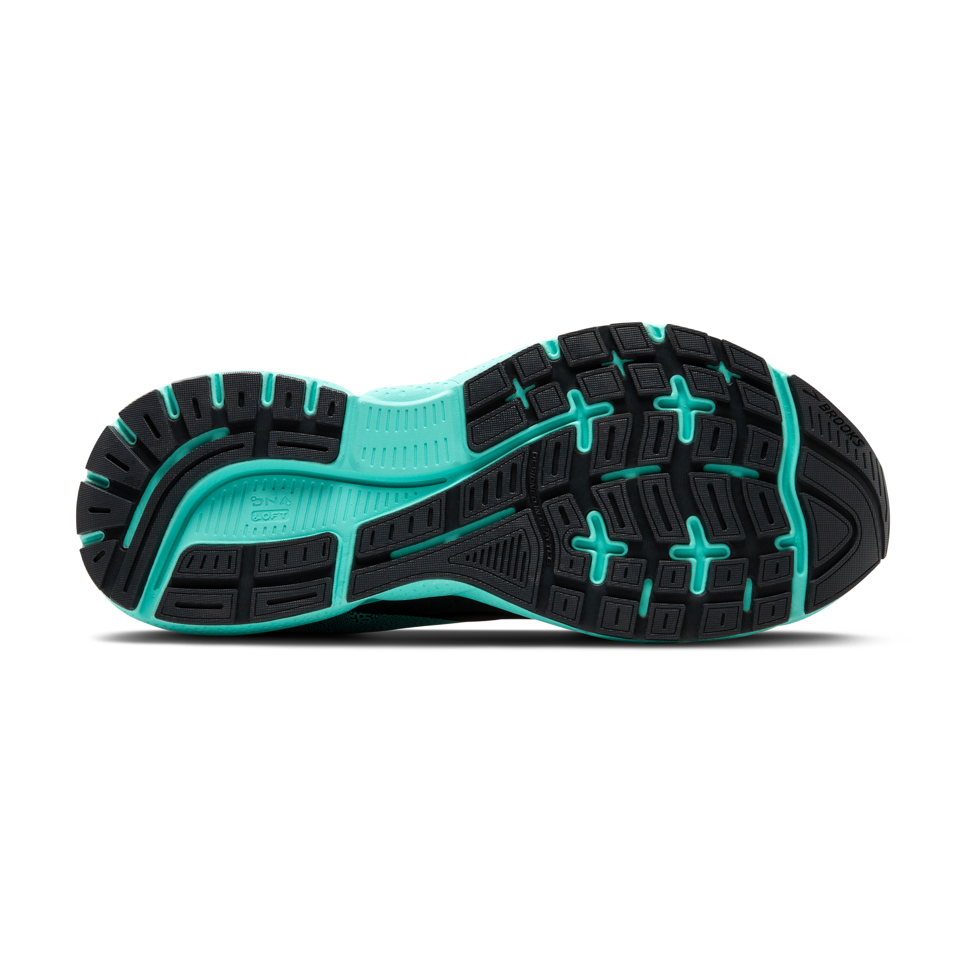 sole