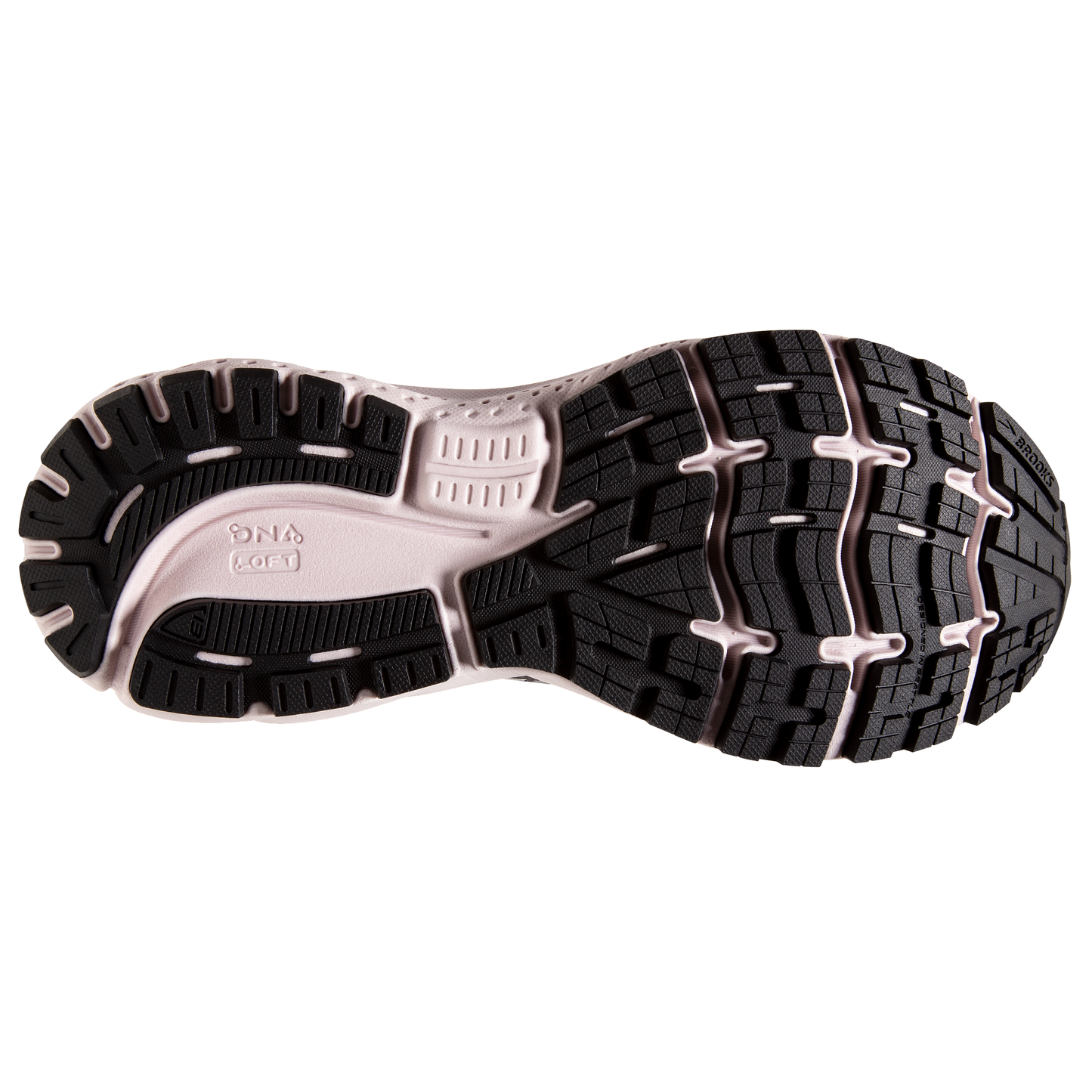 sole
