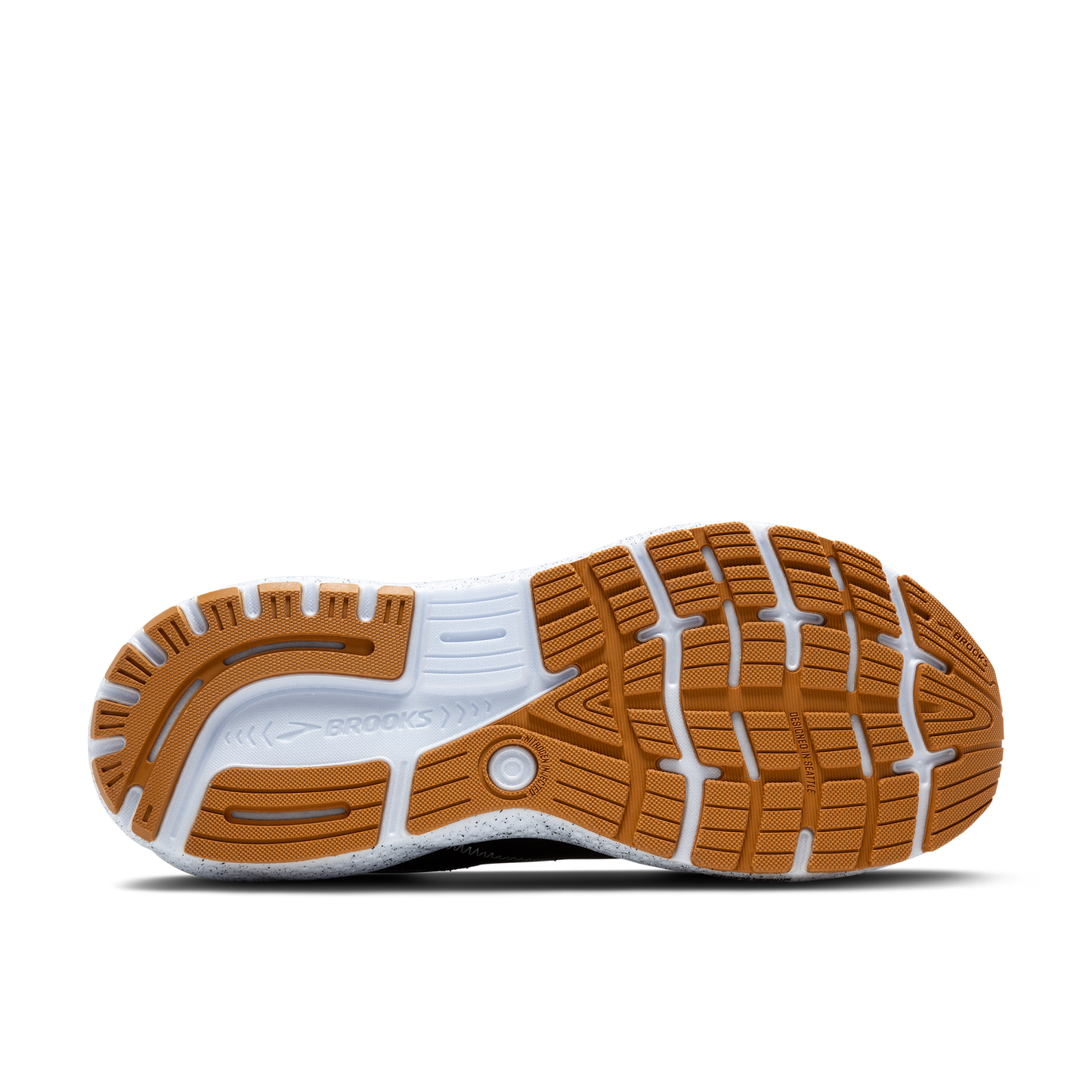 sole